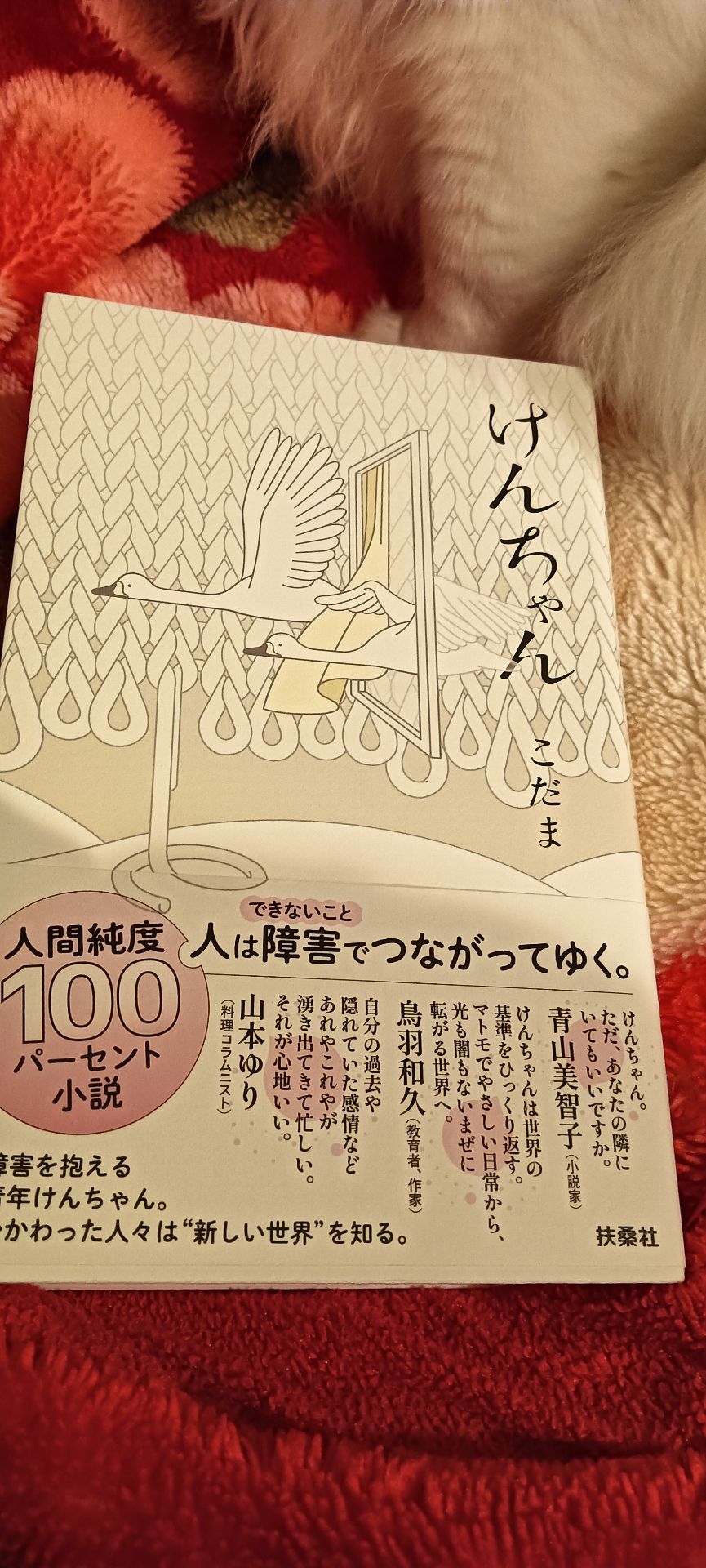 けんちゃん