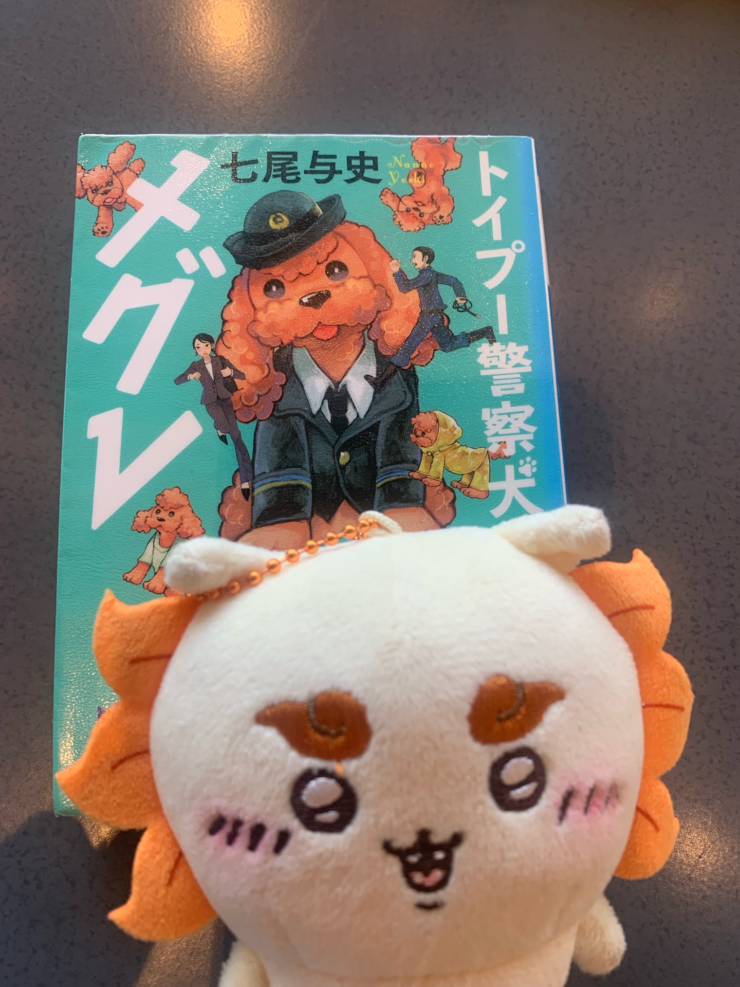 トイプー警察犬 メグレ