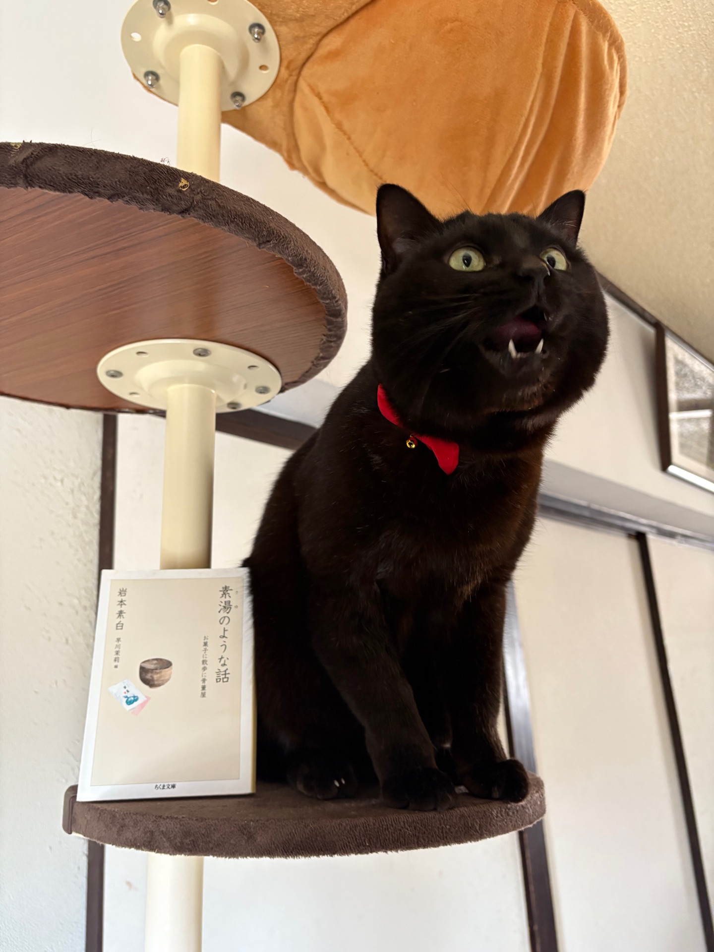 素湯のような話