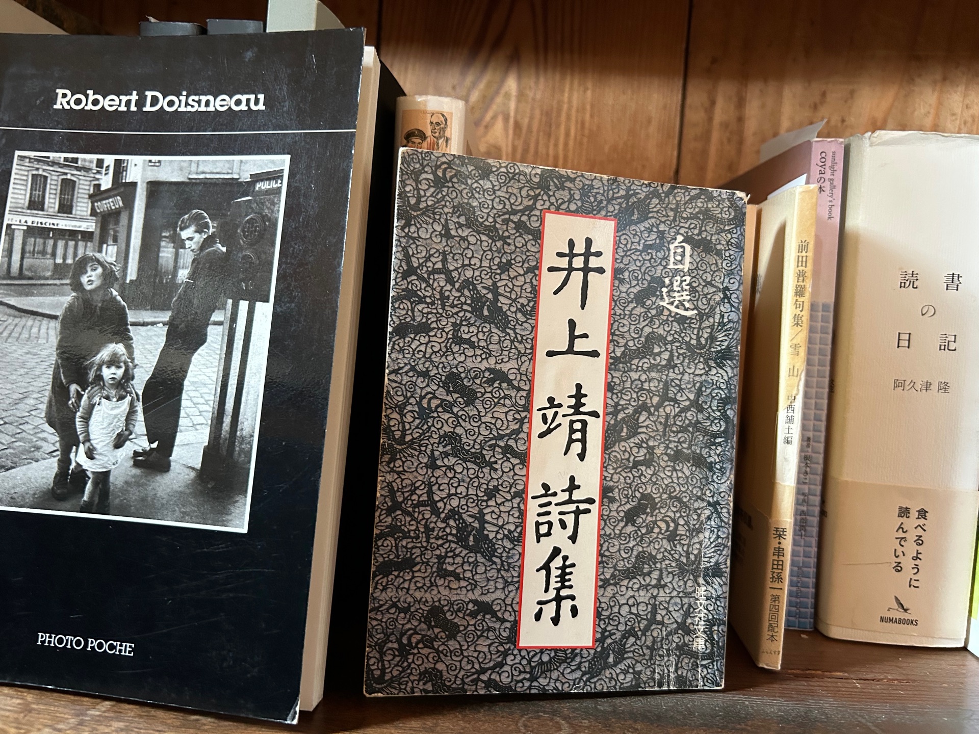 自選井上靖詩集 (1981年)