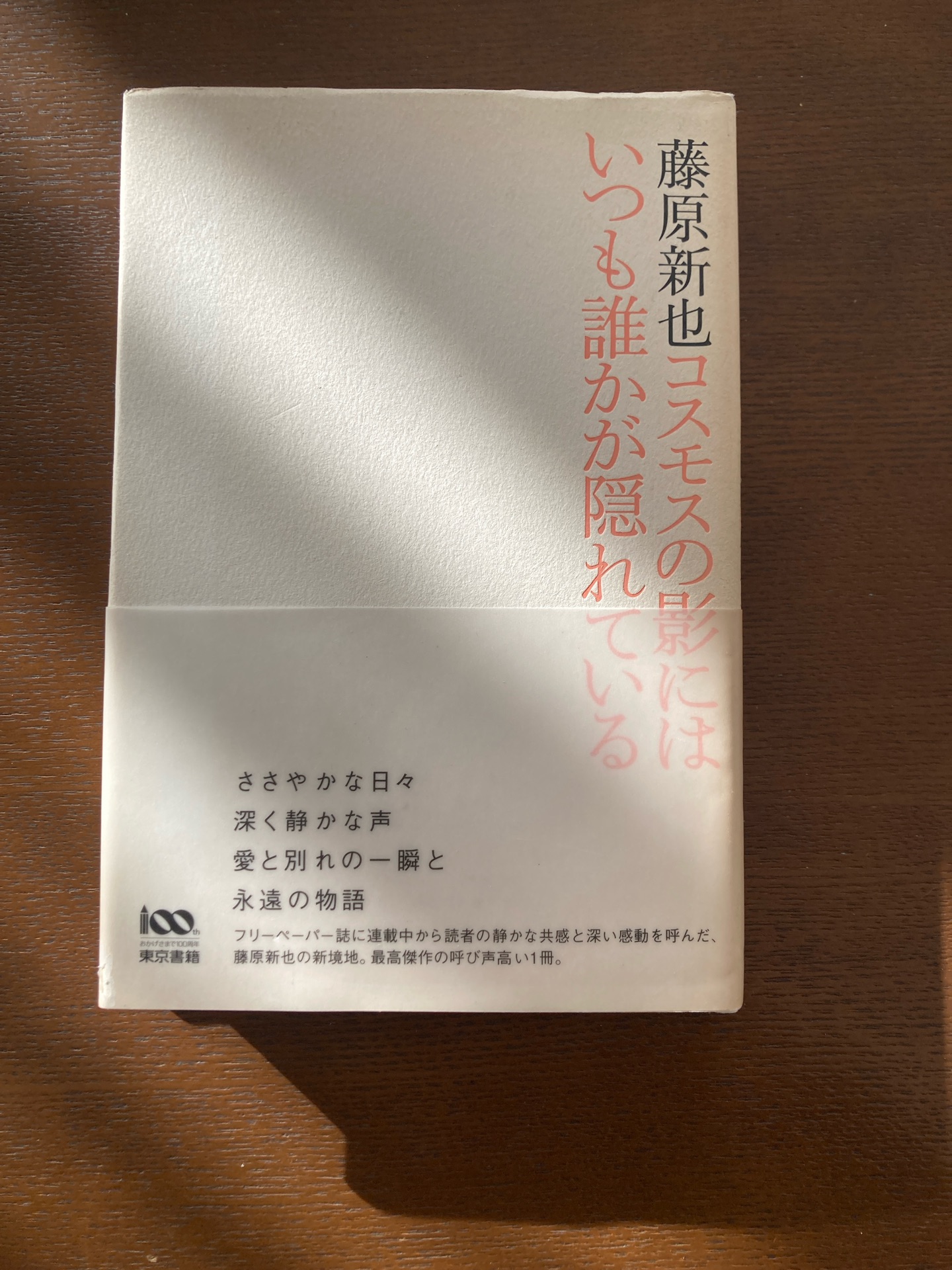 コスモスの影にはいつも誰かが隠れている