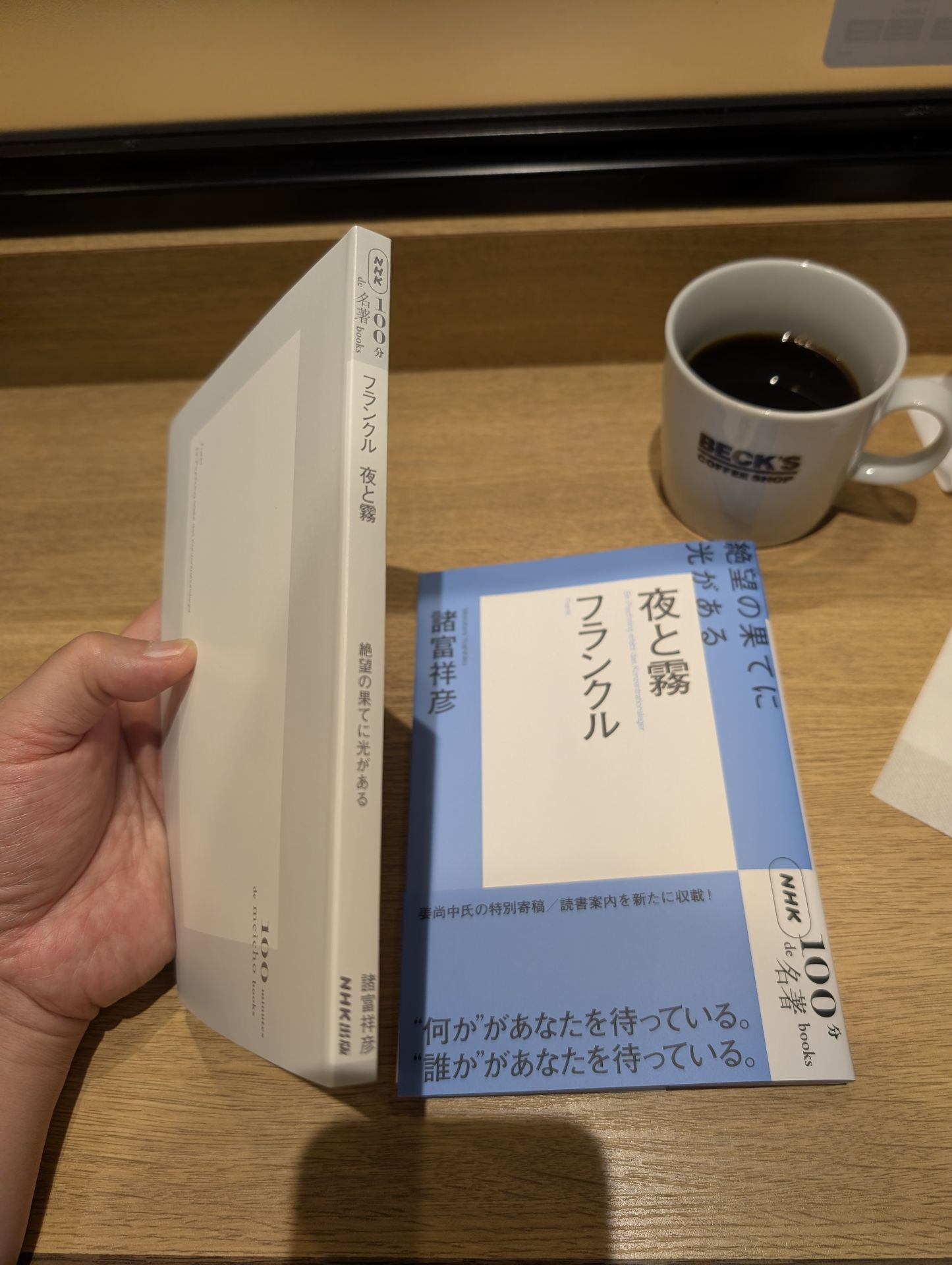 NHK「100分de名著」ブックス フランクル 夜と霧