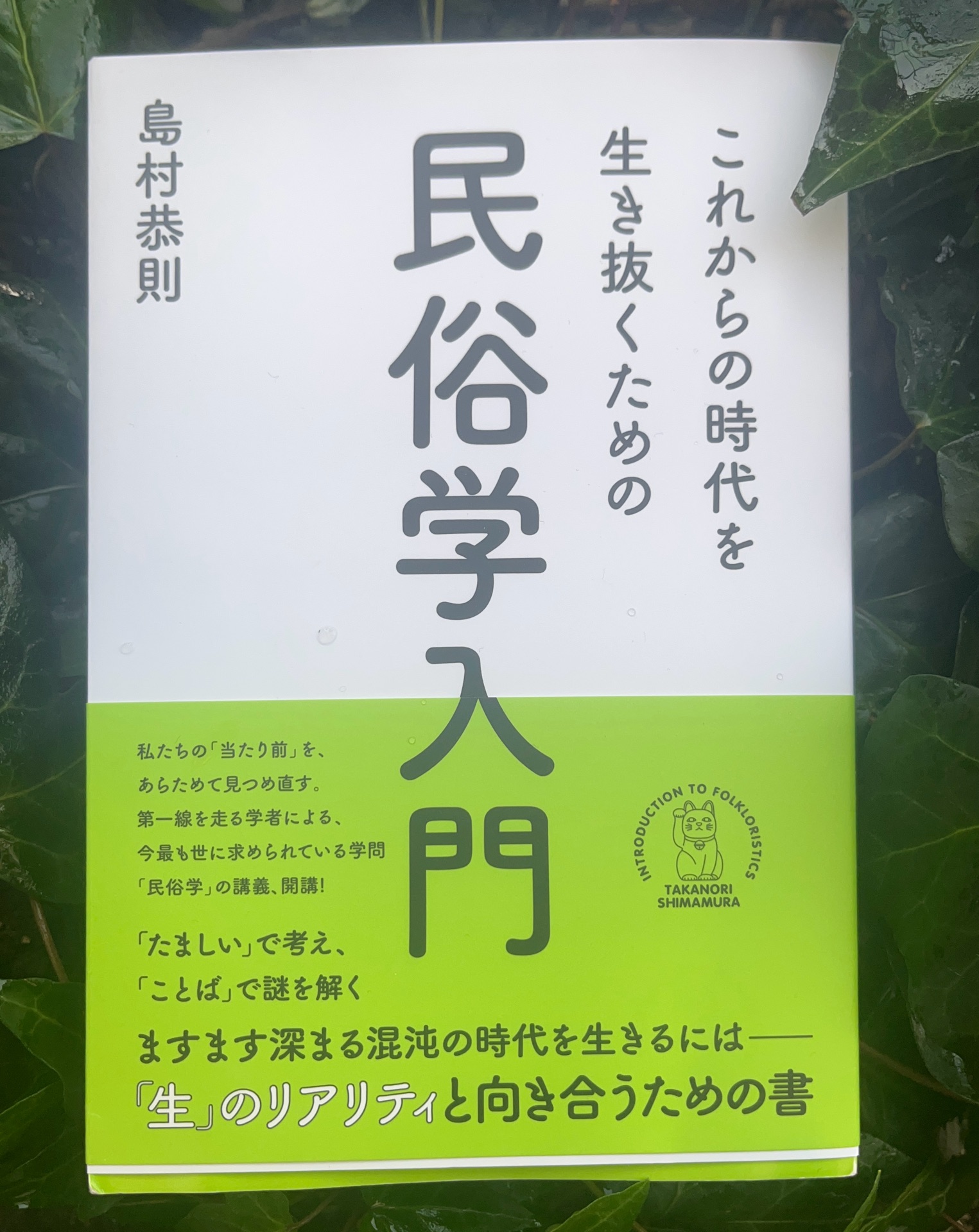 これからの時代を生き抜くための民俗学入門