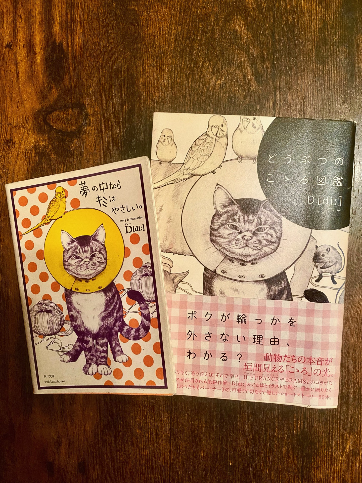 夢の中ならキミはやさしい。 (角川文庫 て 10-1)