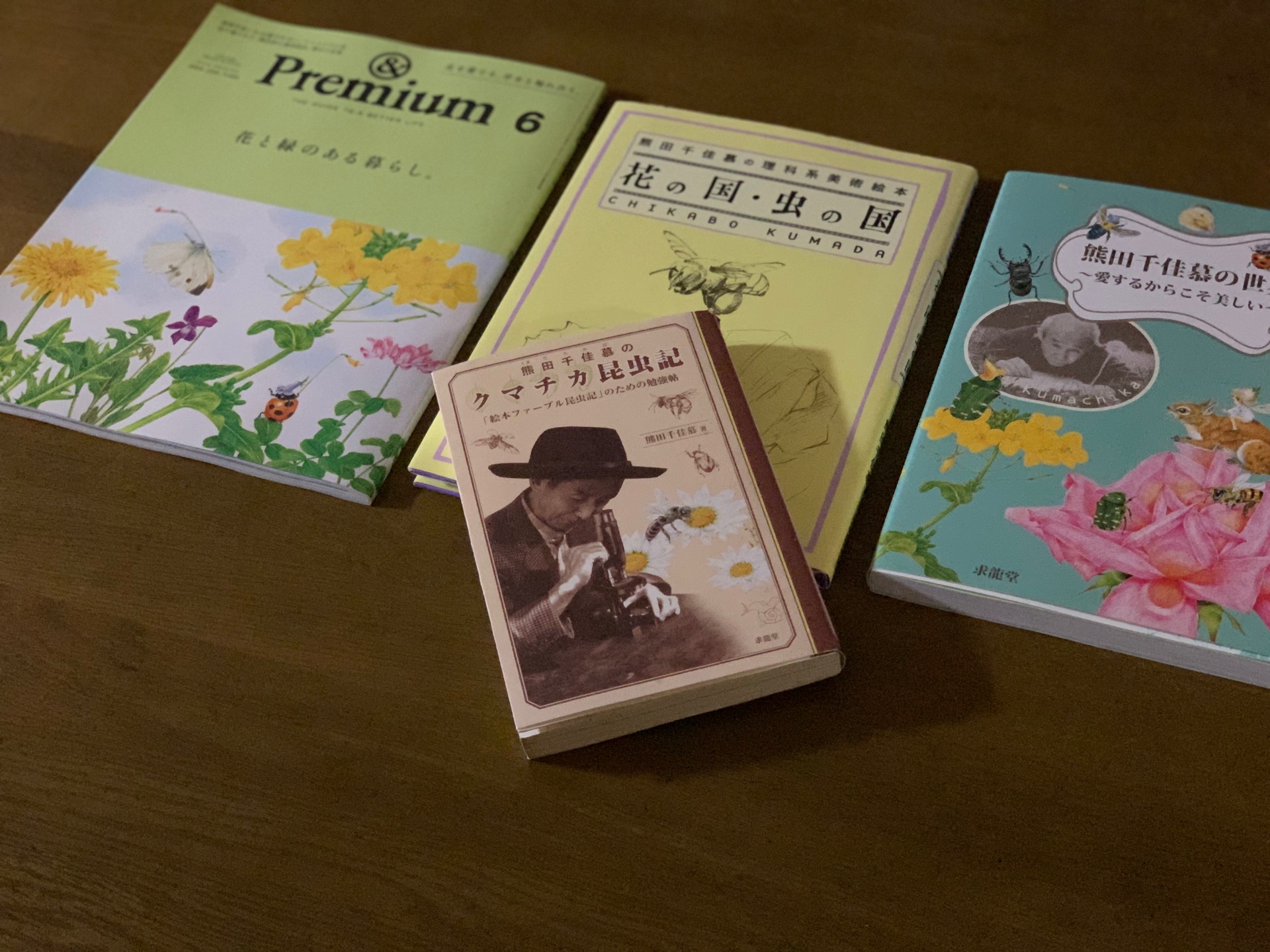 熊田千佳慕のクマチカ昆虫記: 「絵本ファ-ブル昆虫記」のための勉強帖
