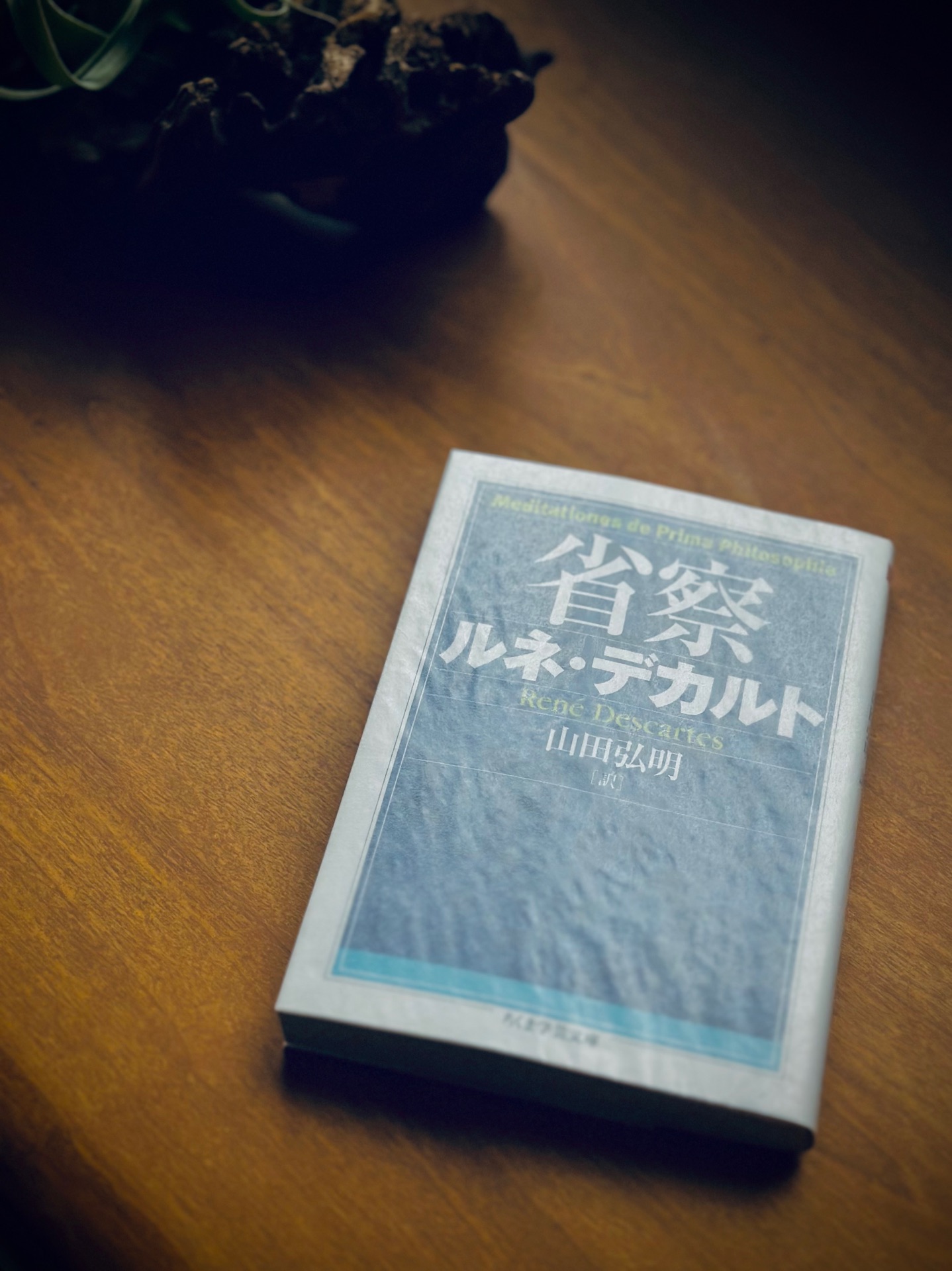省察