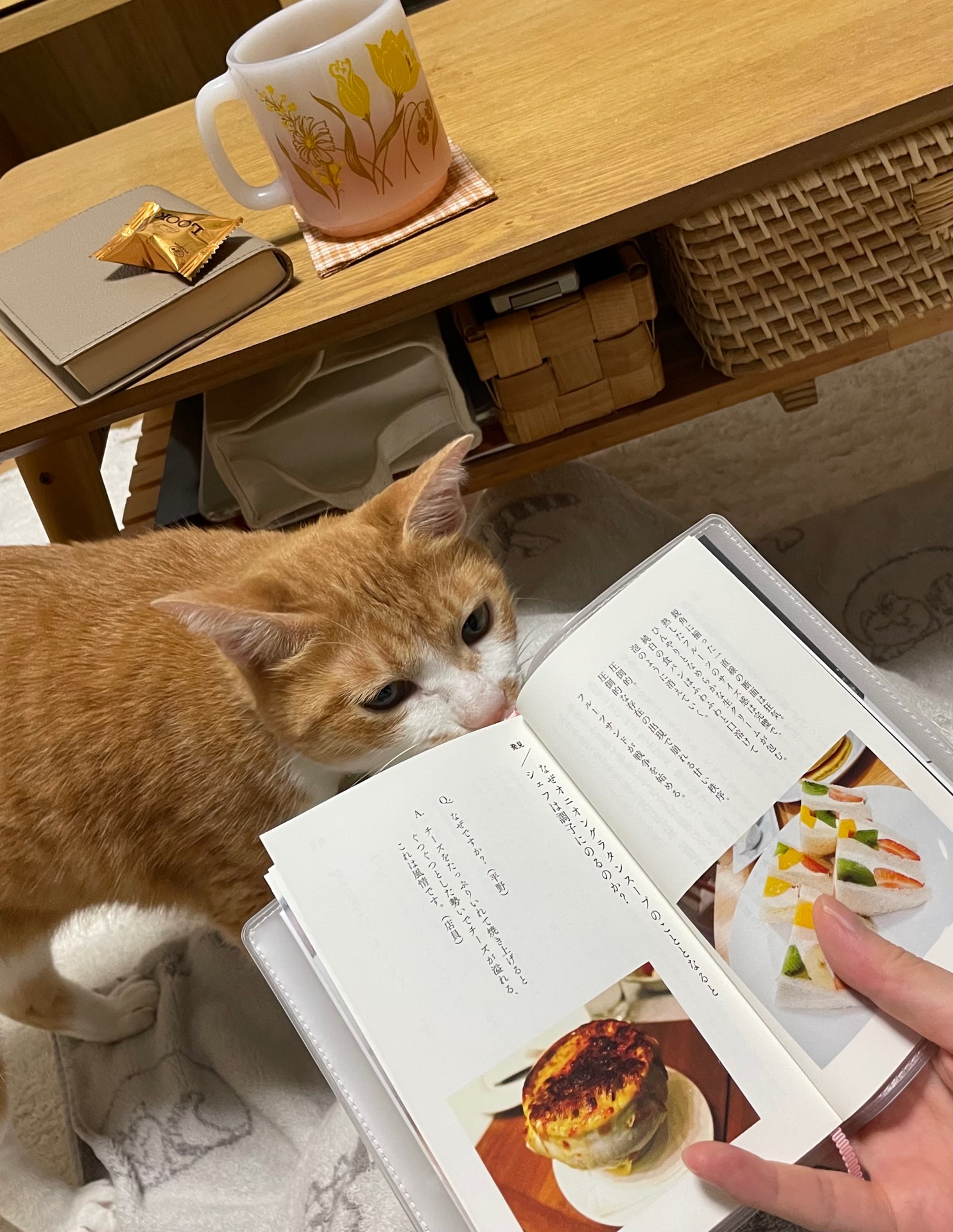 生まれた時からアルデンテ