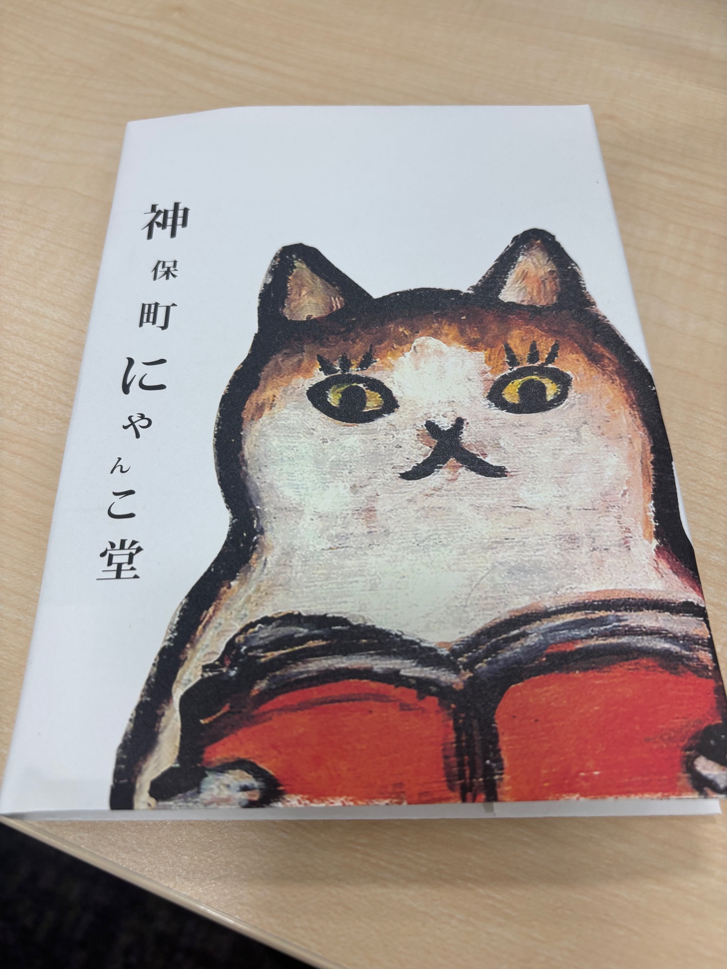 Mo Story 子猫のモー