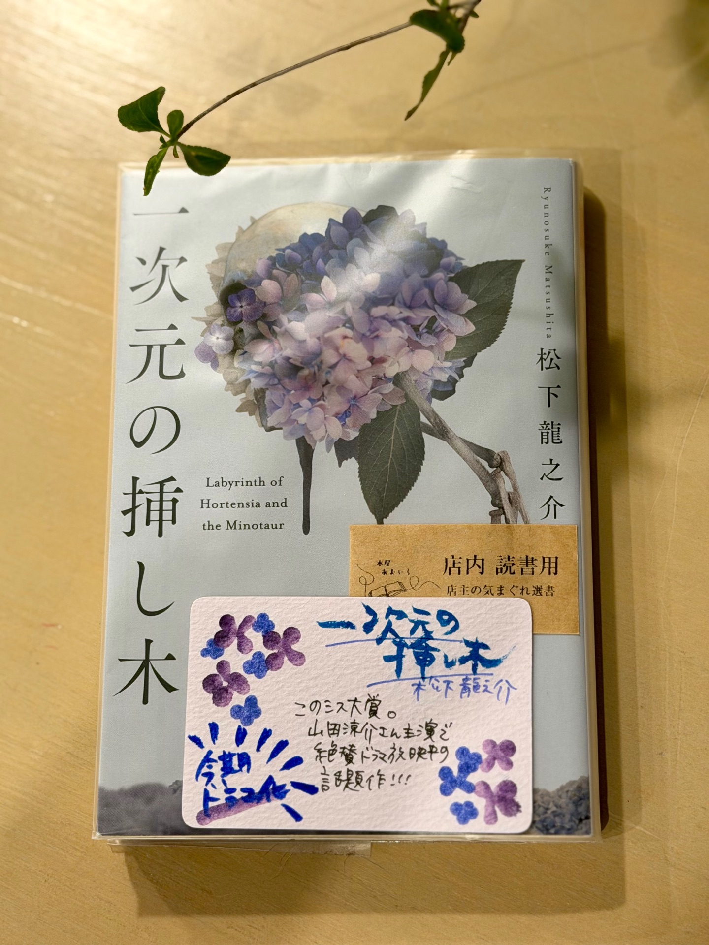 一次元の挿し木