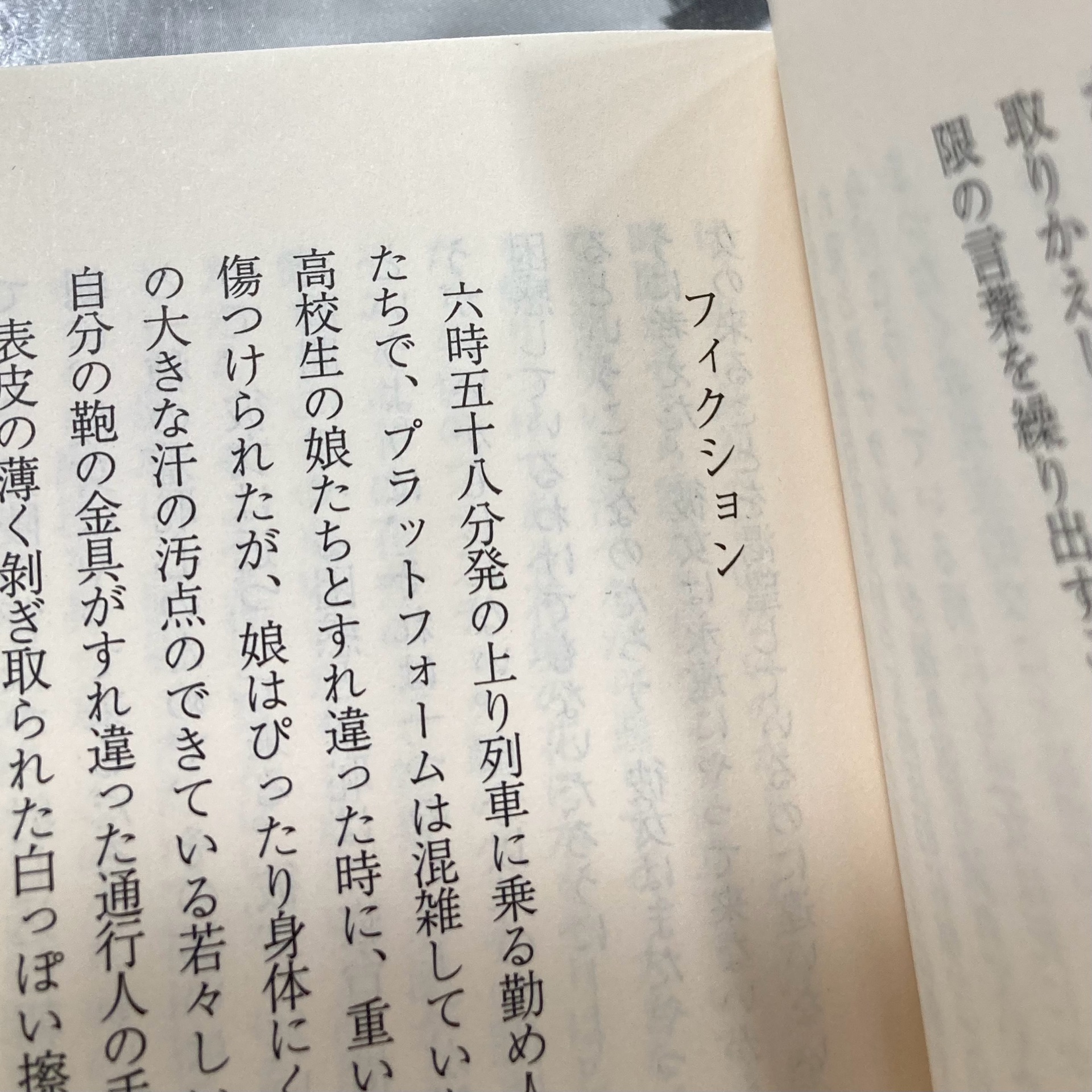 砂の粒/孤独な場所で 金井美恵子自選短篇集 (講談社文芸文庫)