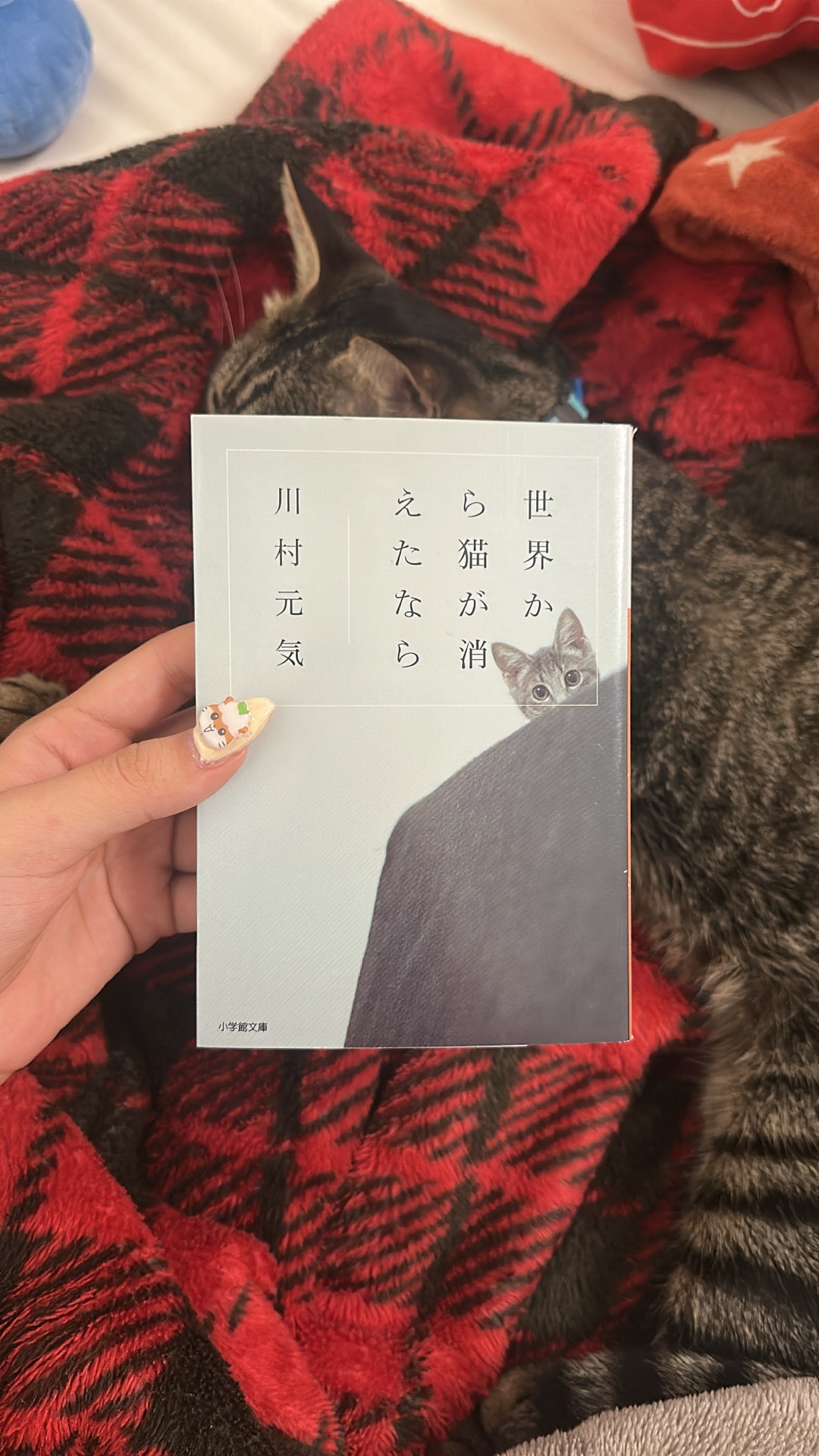 世界から猫が消えたなら