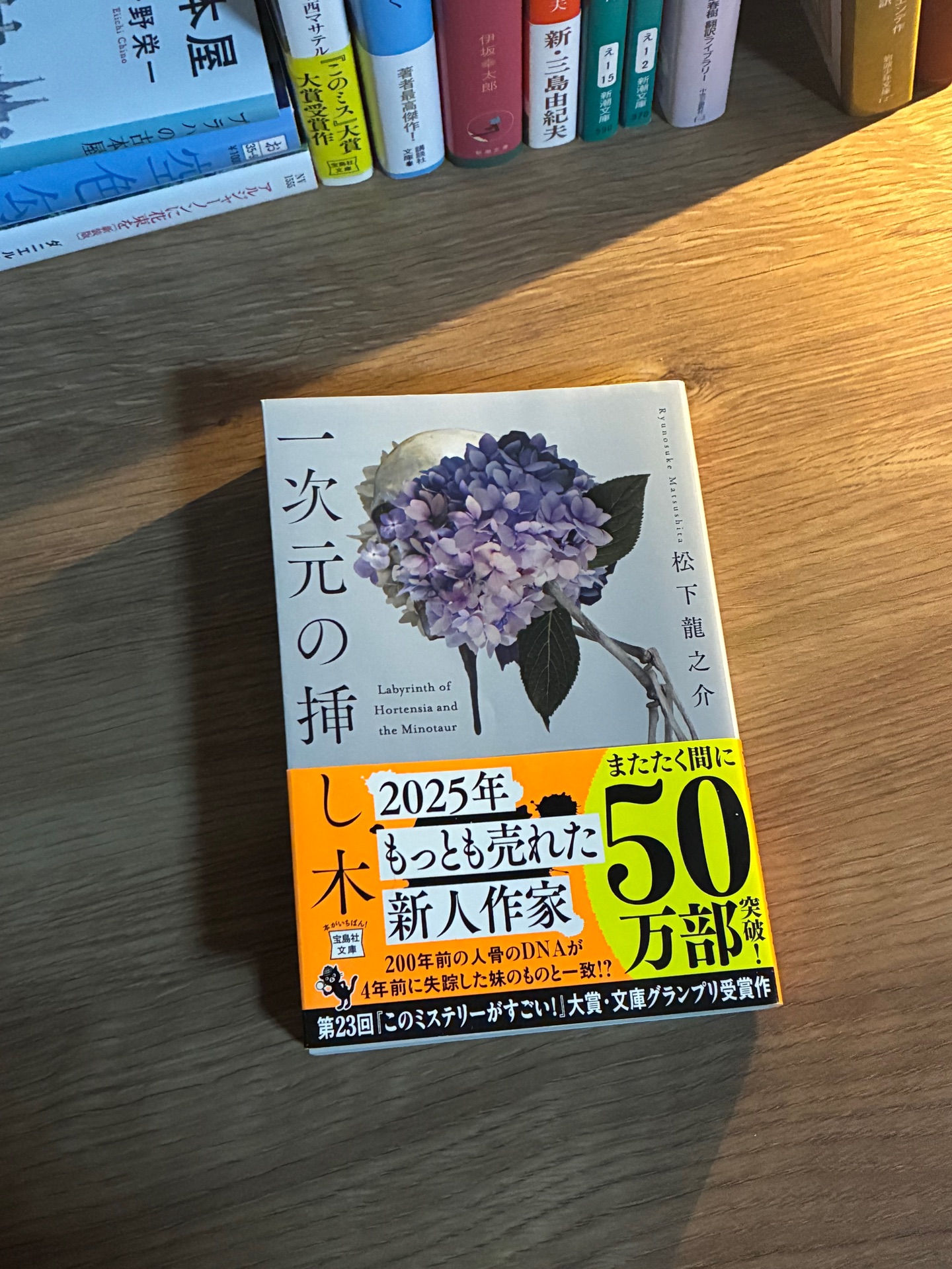 一次元の挿し木