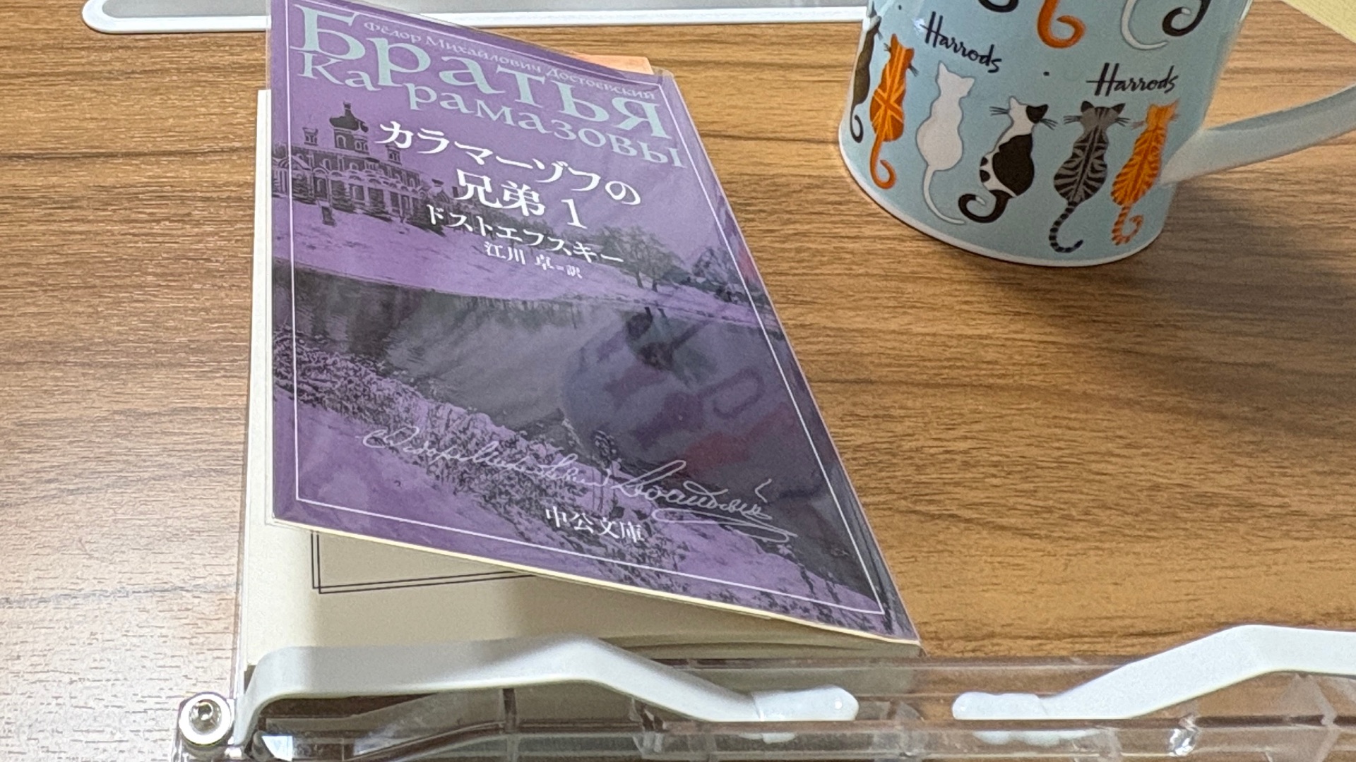 カラマーゾフの兄弟 1