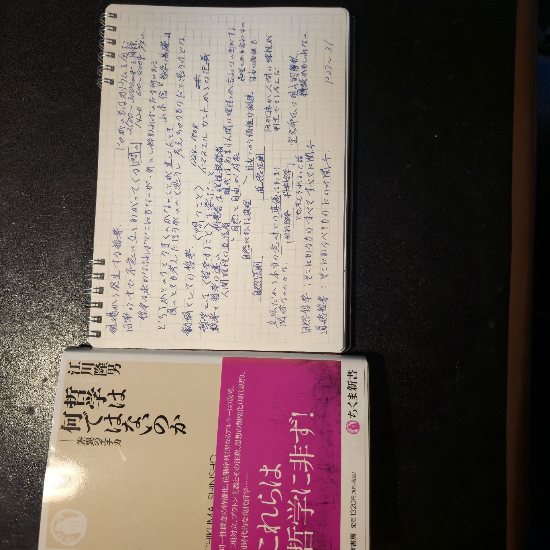 哲学は何ではないのか