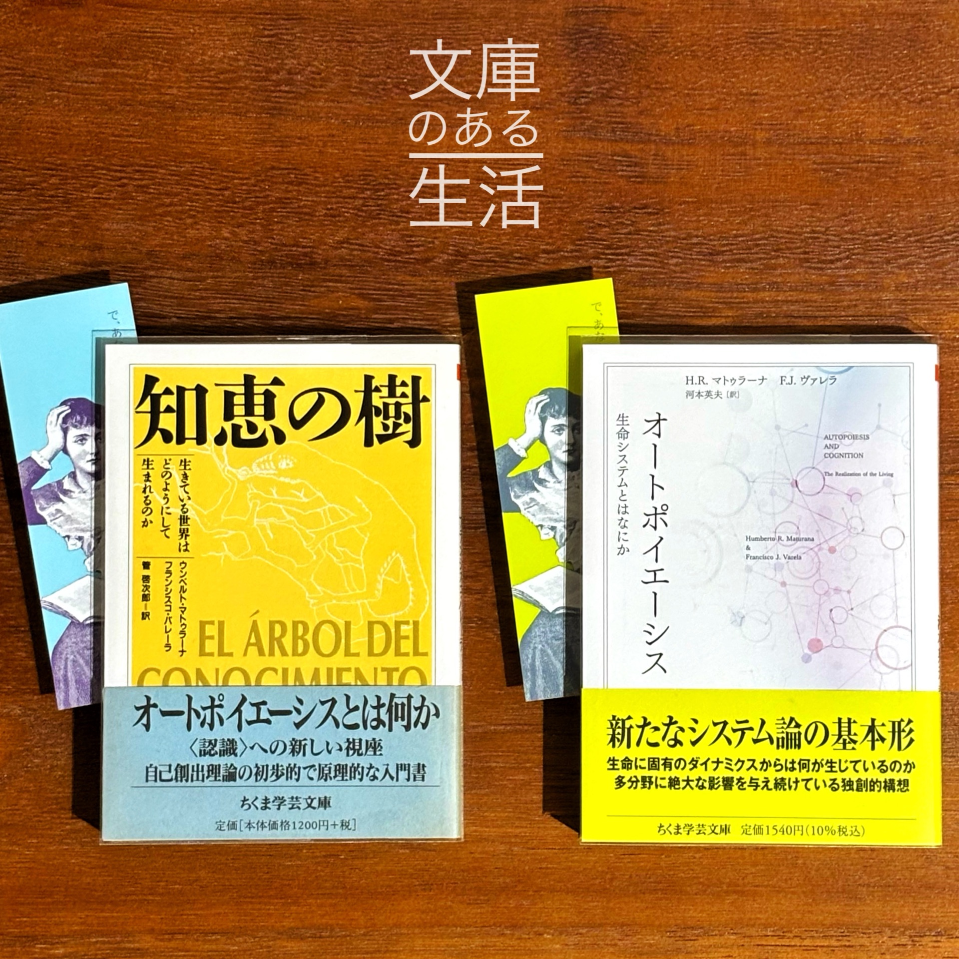 オートポイエーシス