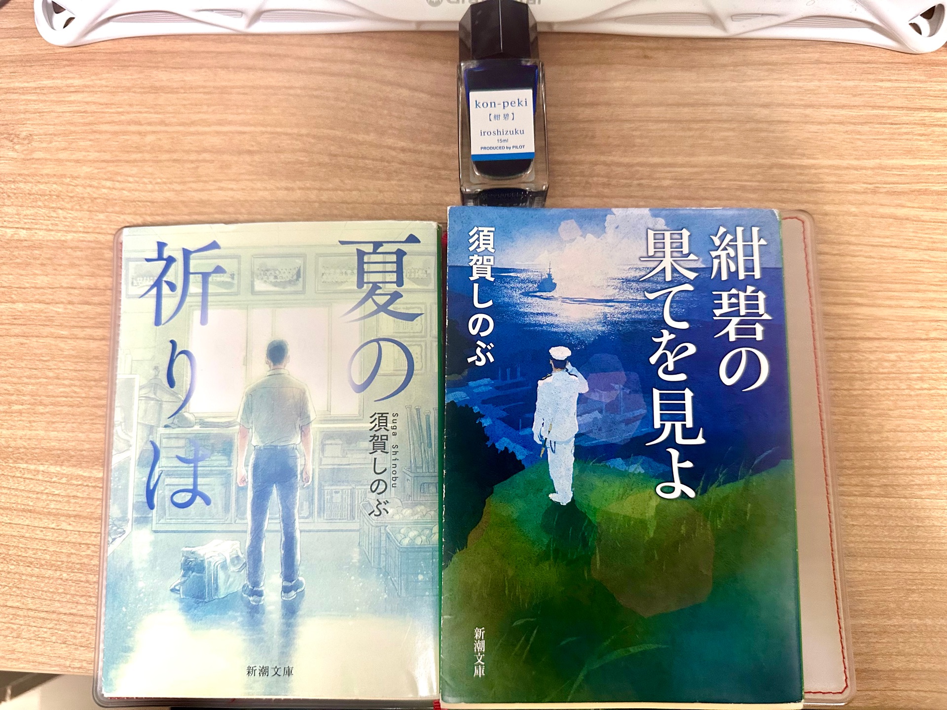 紺碧の果てを見よ (新潮文庫)