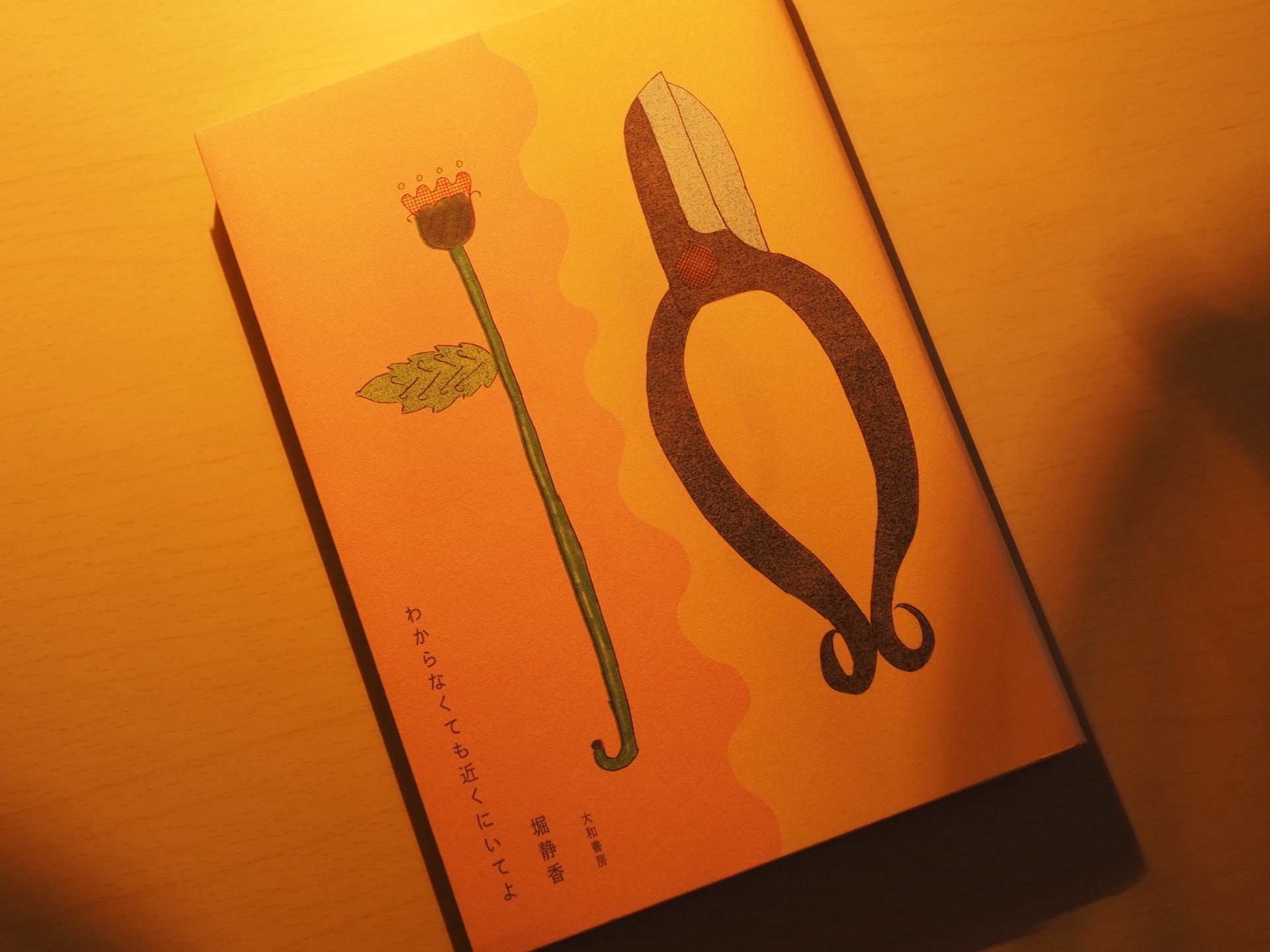 わからなくても近くにいてよ