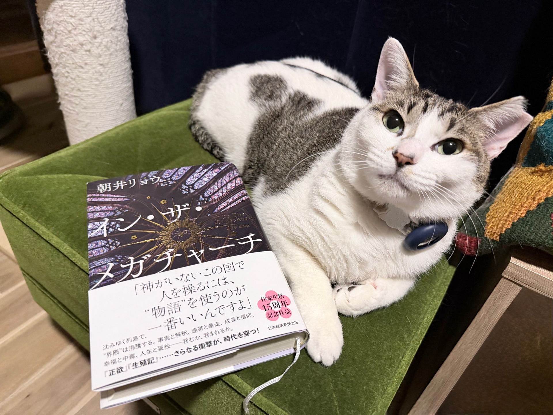 イン・ザ・メガチャーチ