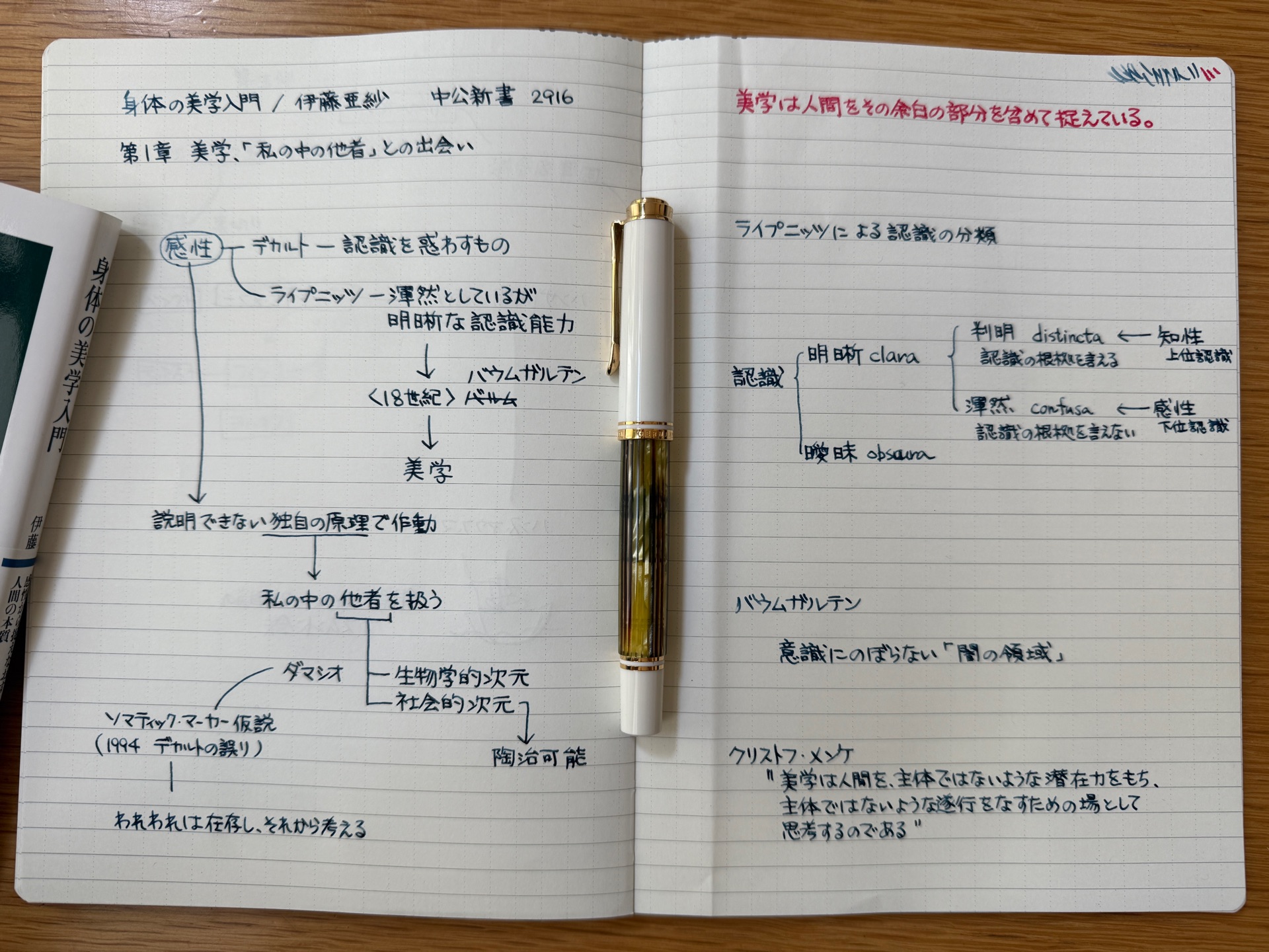 身体の美学入門