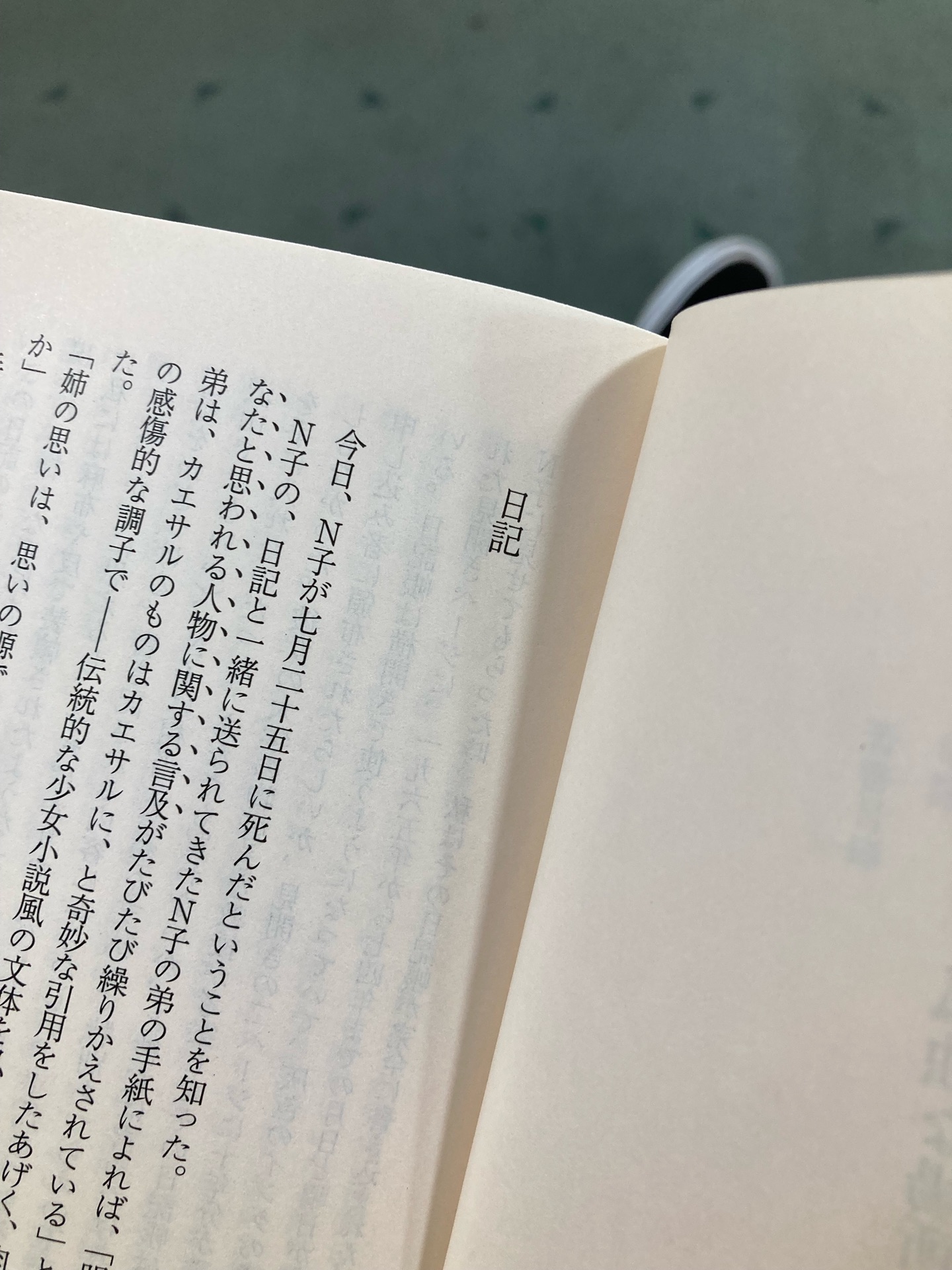 砂の粒/孤独な場所で 金井美恵子自選短篇集 (講談社文芸文庫)