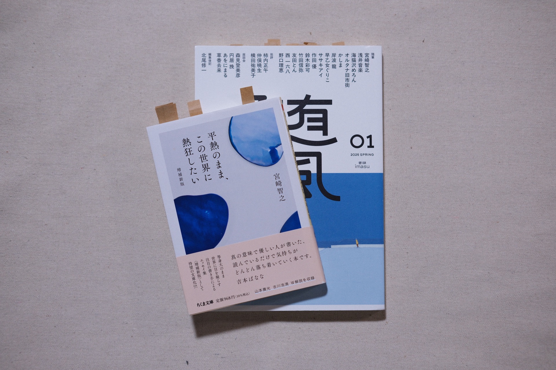 平熱のまま、この世界に熱狂したい 増補新版