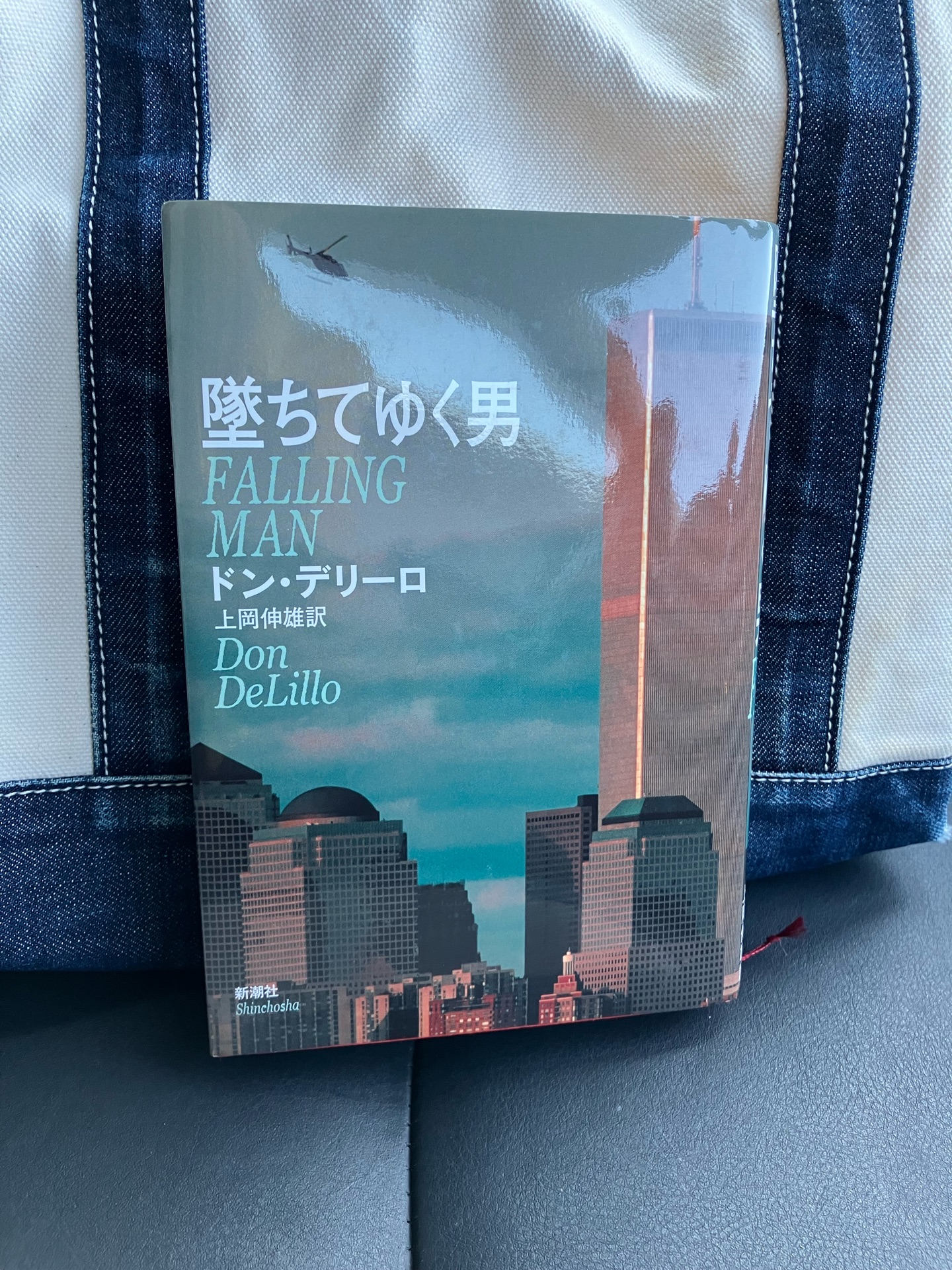 墜ちてゆく男