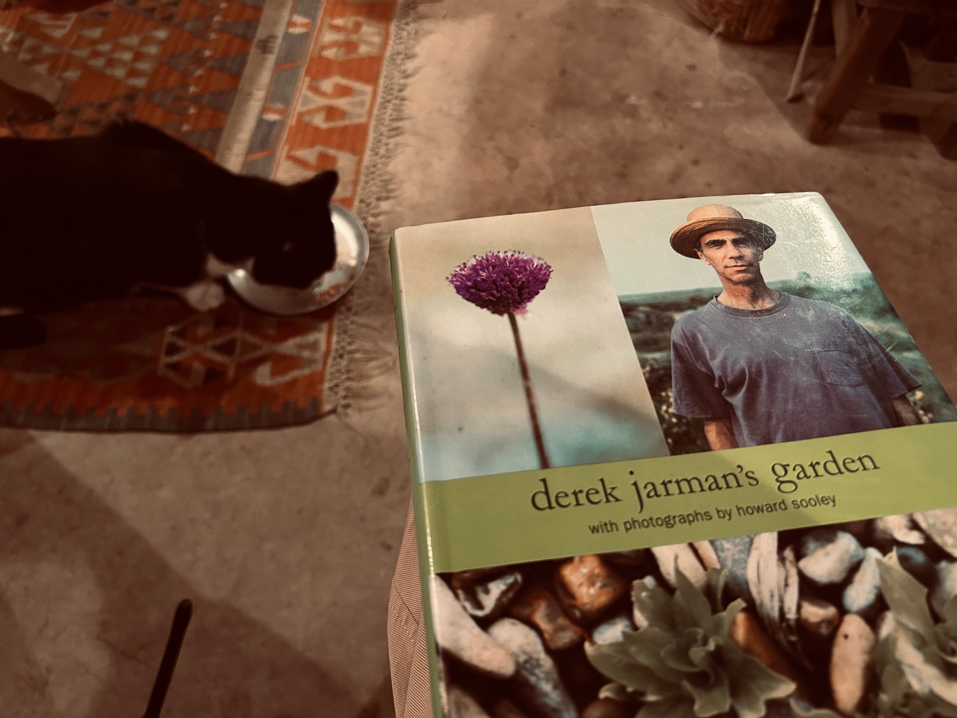 derek jarman’s garden