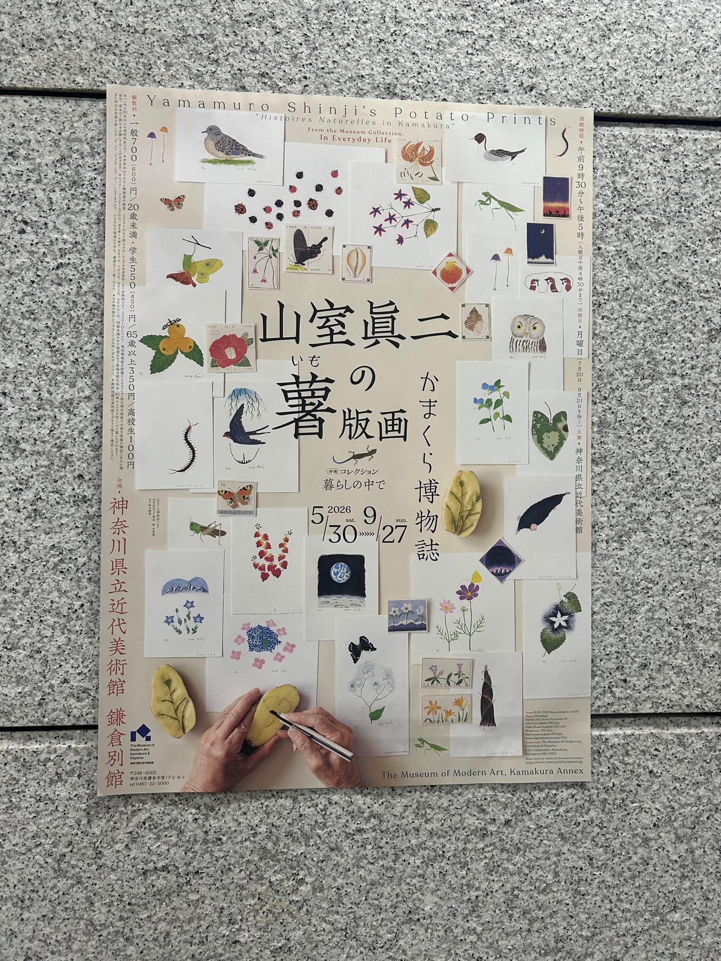 鎌倉花信抄 (風信ネイチャーブックス 3)