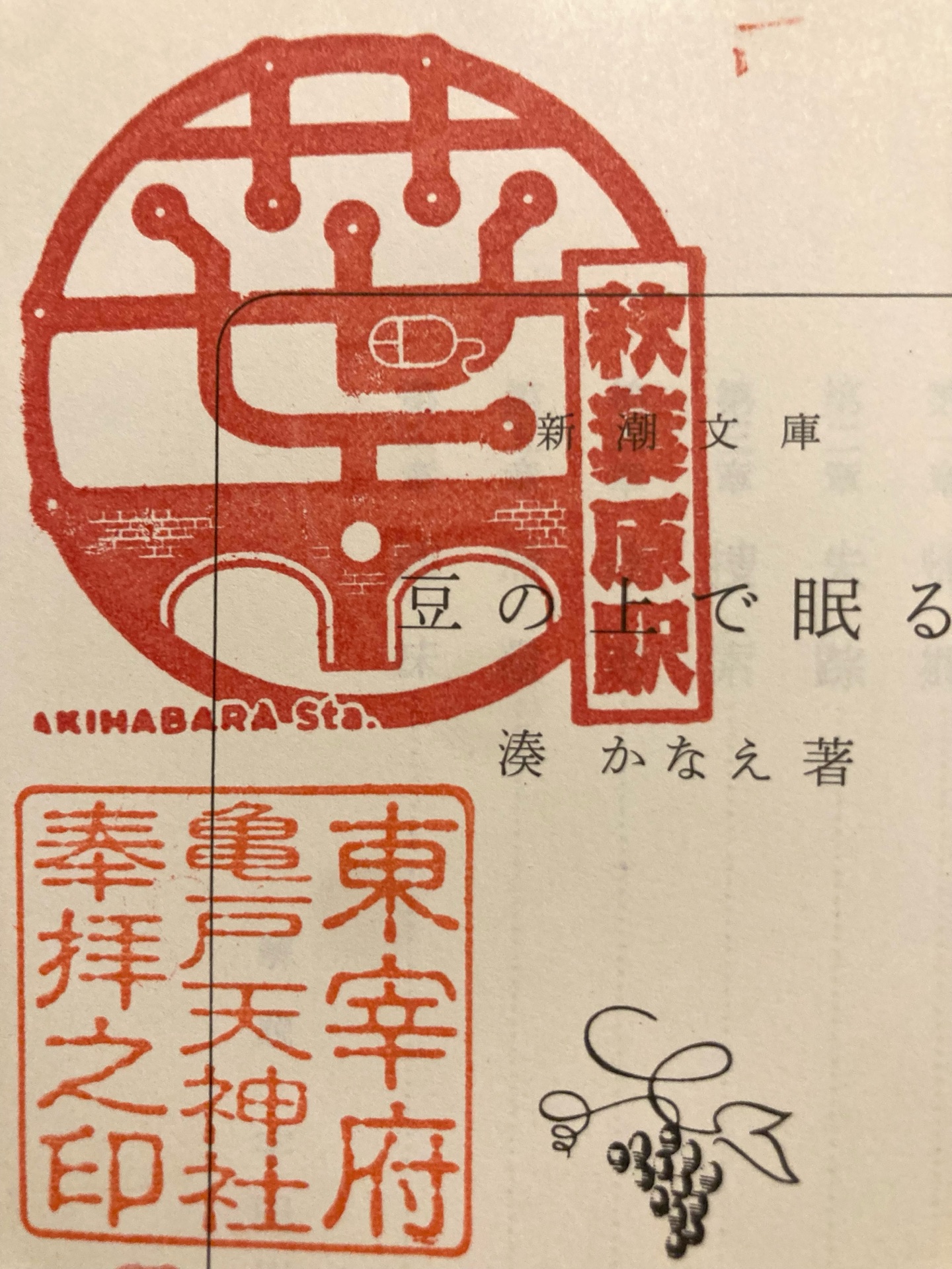 豆の上で眠る
