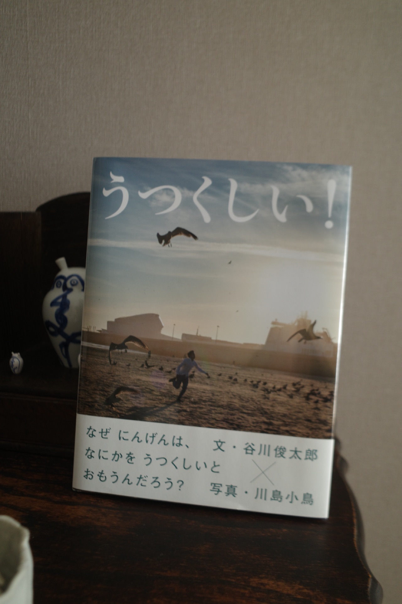 うつくしい!