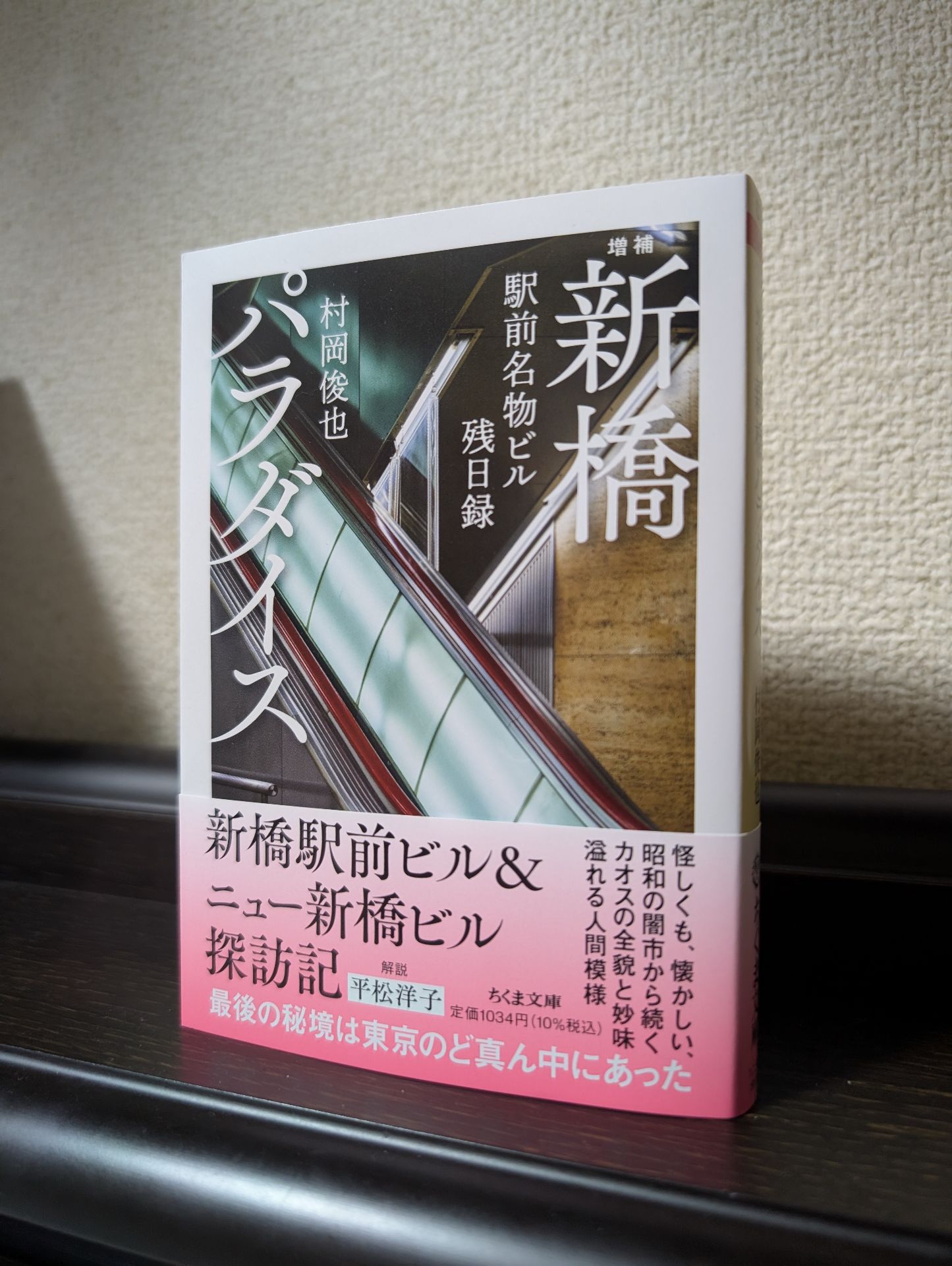 増補 新橋パラダイス