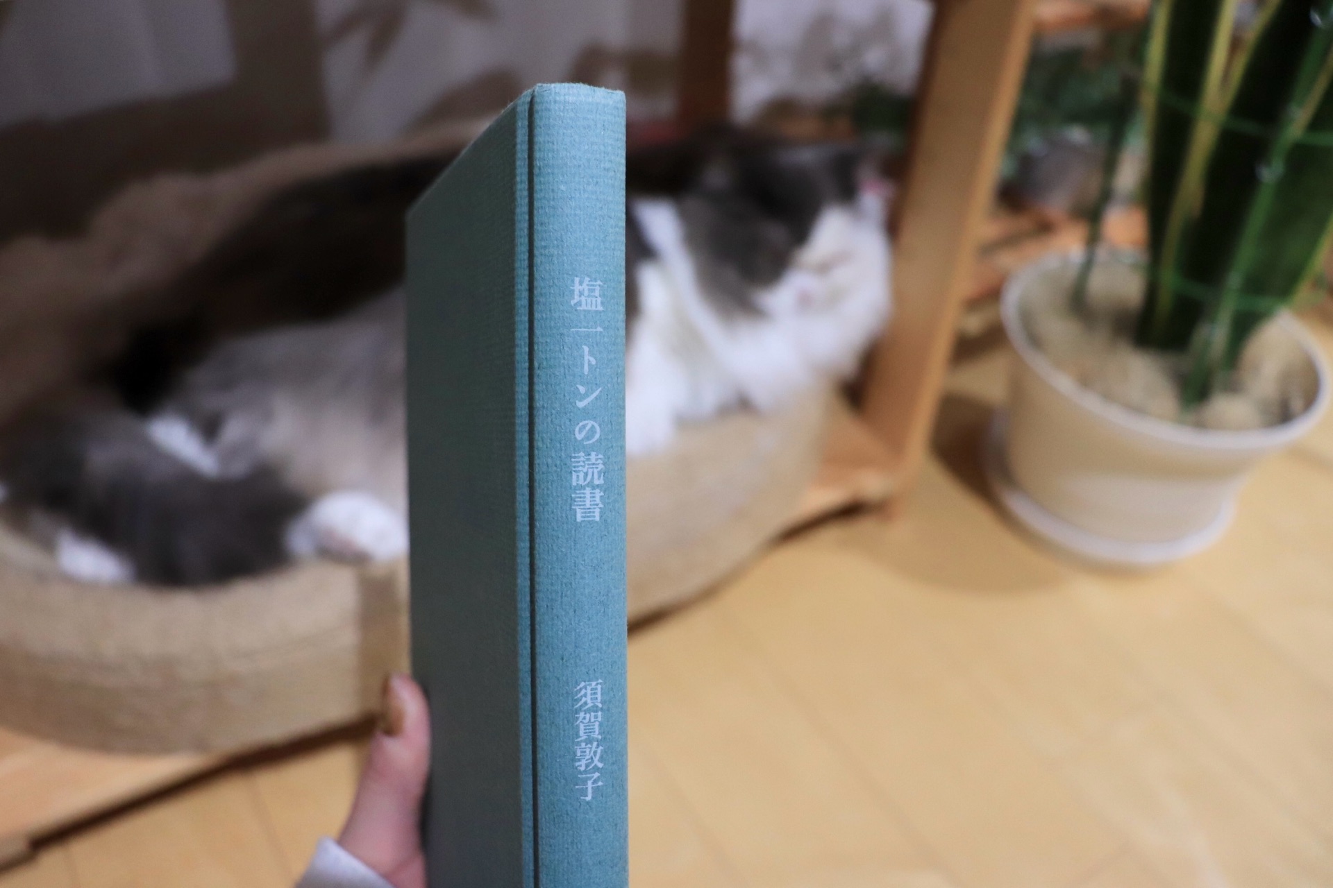 塩一トンの読書