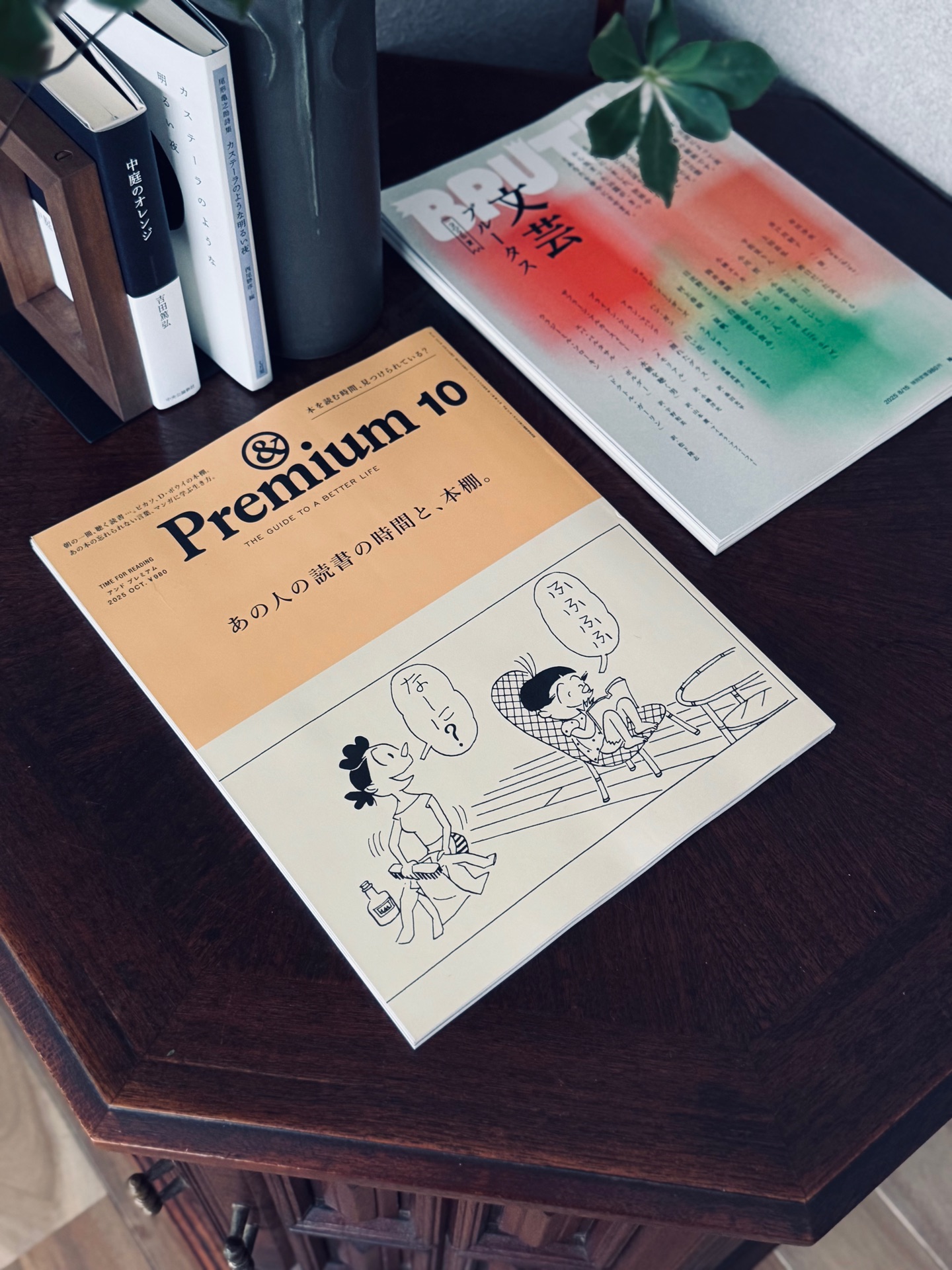 &Premium(アンド プレミアム) 2025年 10月号