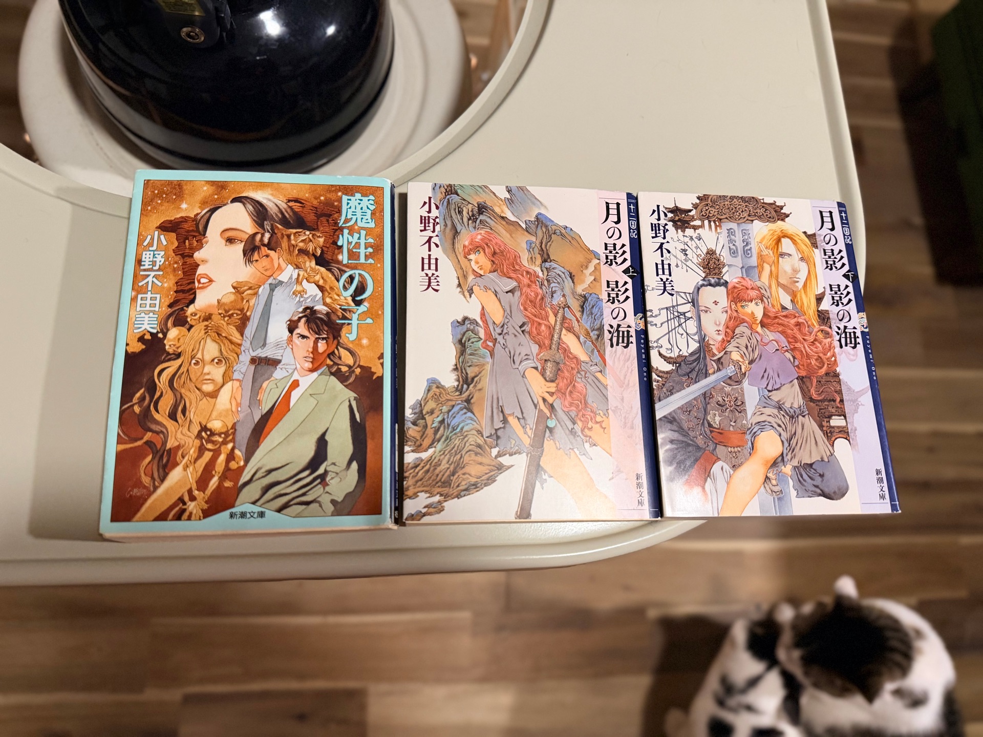 月の影 影の海(上) 十二国記