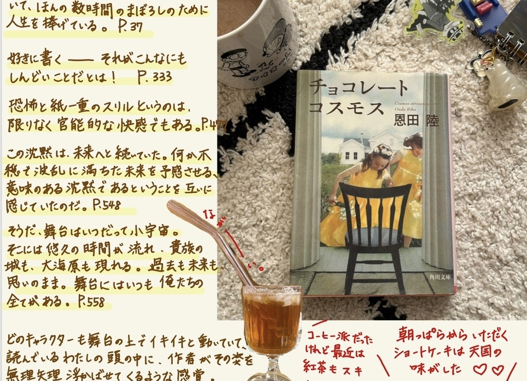 チョコレートコスモス