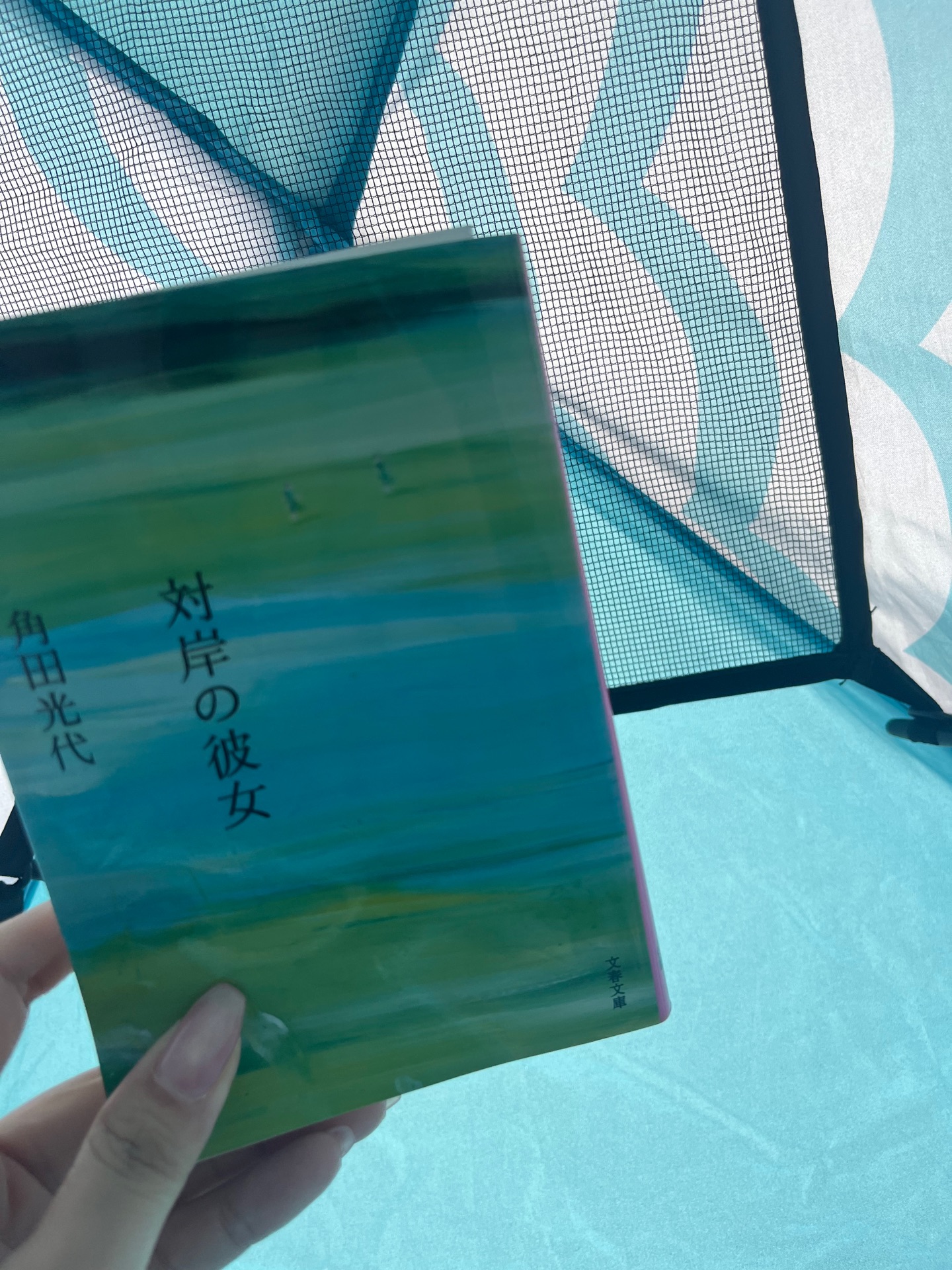 対岸の彼女 (文春文庫)