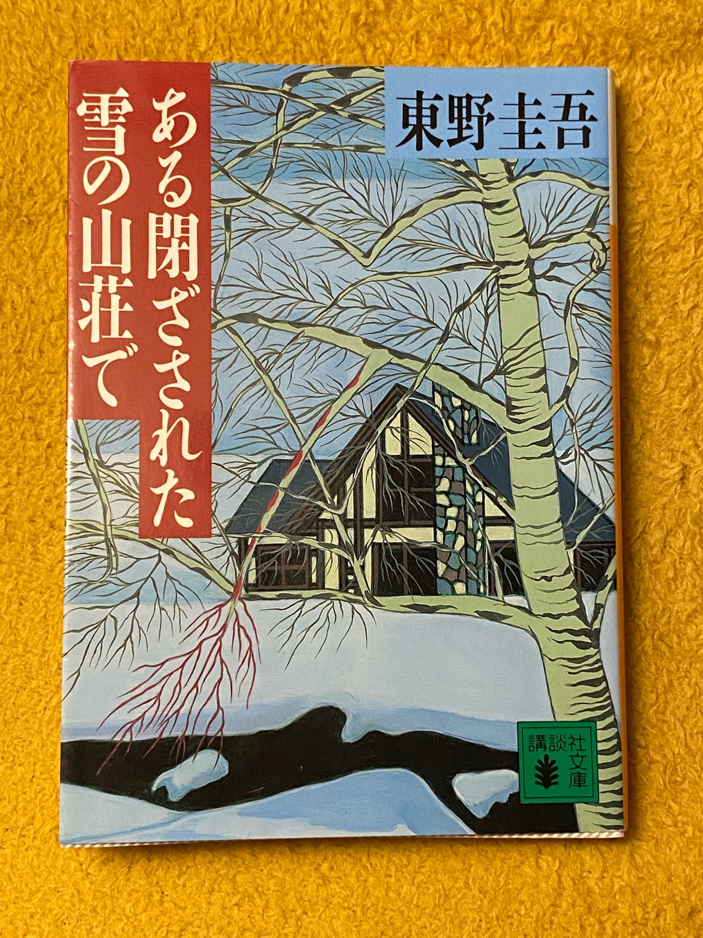 ある閉ざされた雪の山荘で