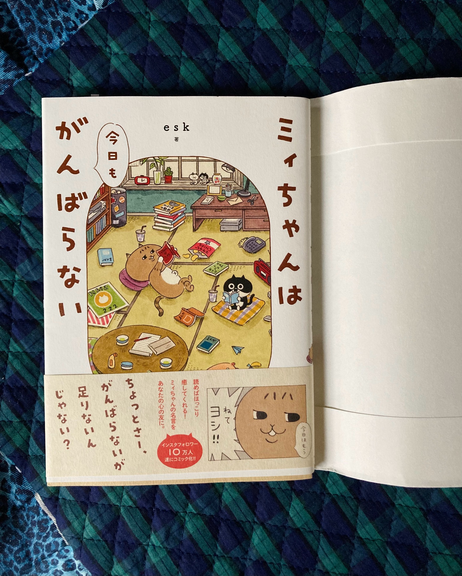 ミィちゃんは今日もがんばらない