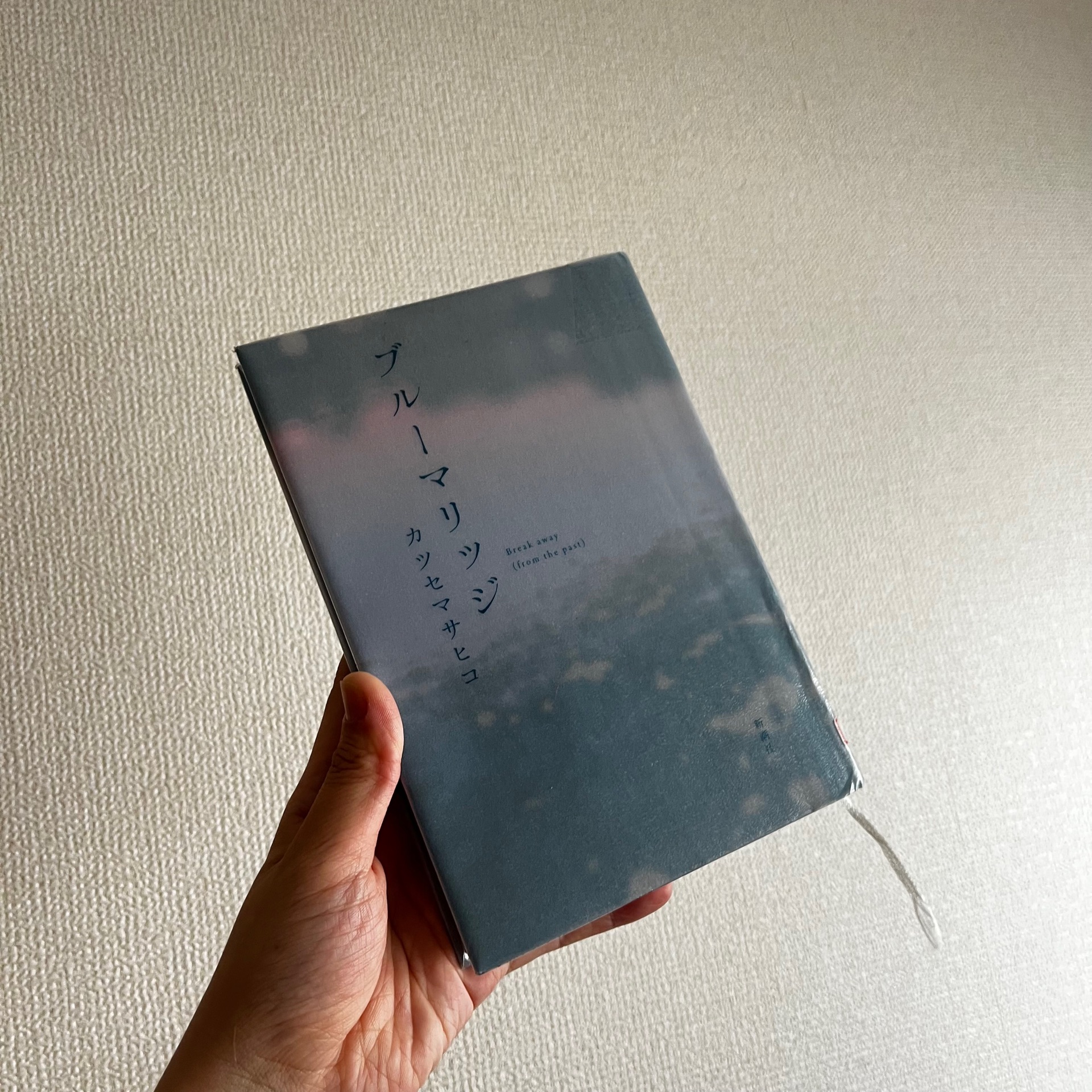 ブルーマリッジ