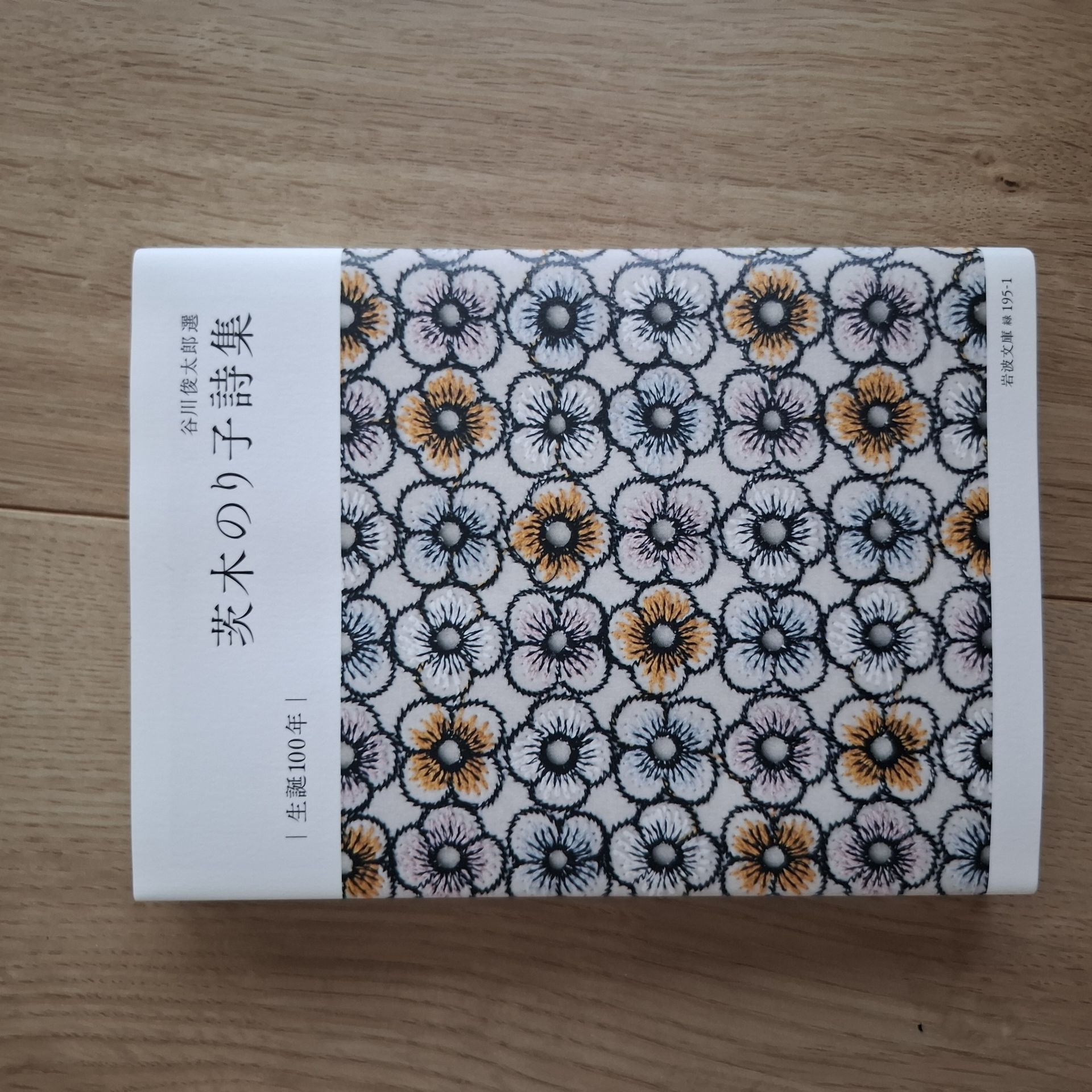 茨木のり子詩集