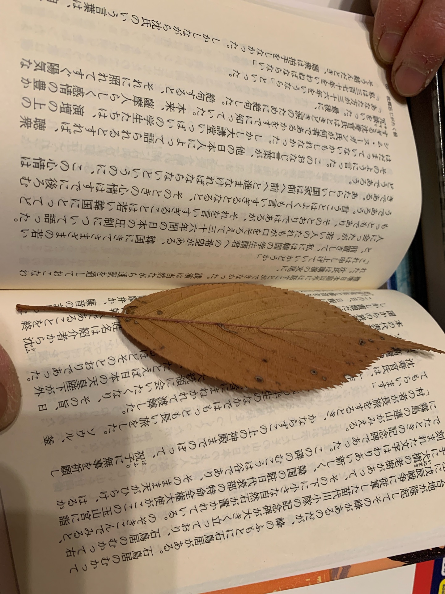 故郷忘じがたく候