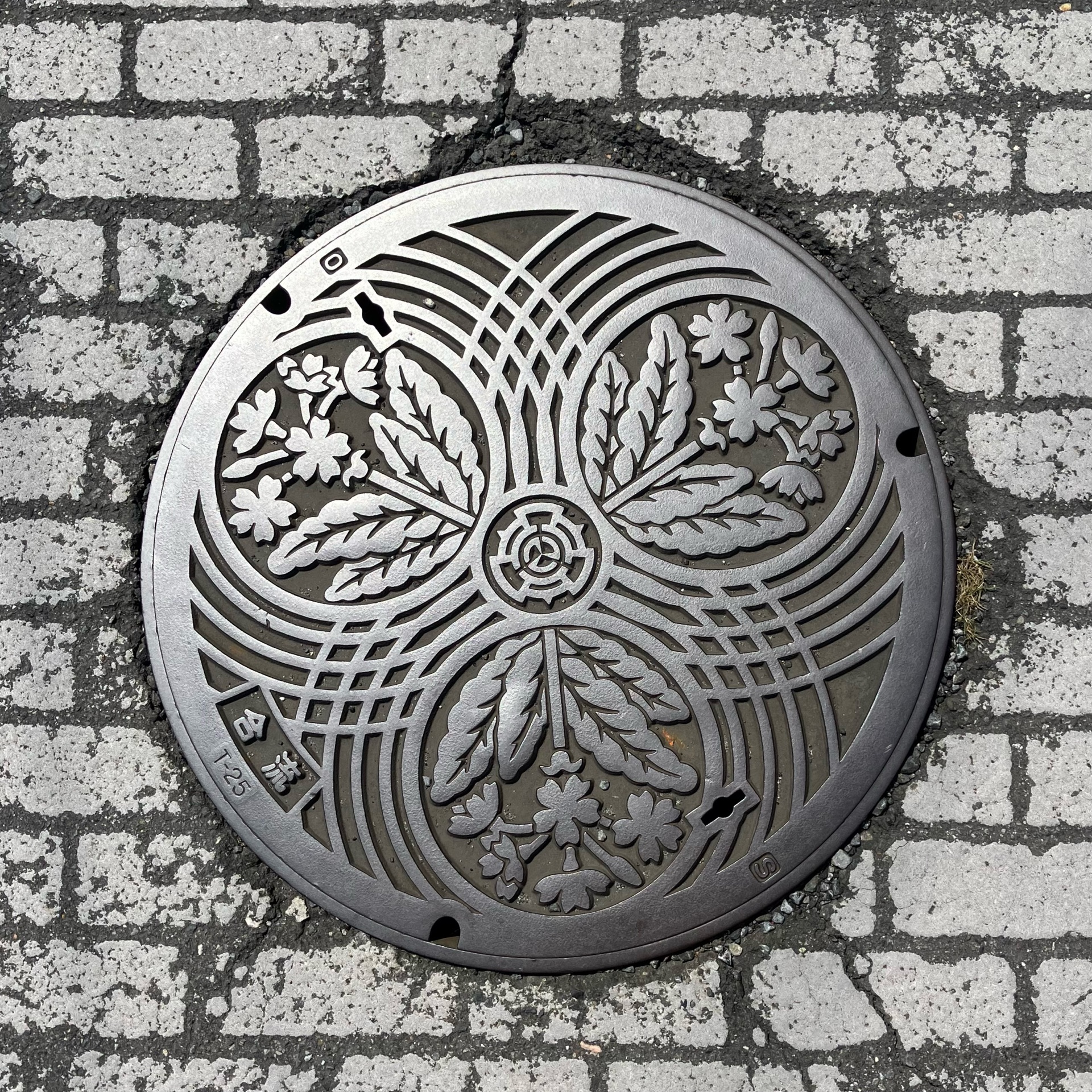 マンホール大百科 西日本編