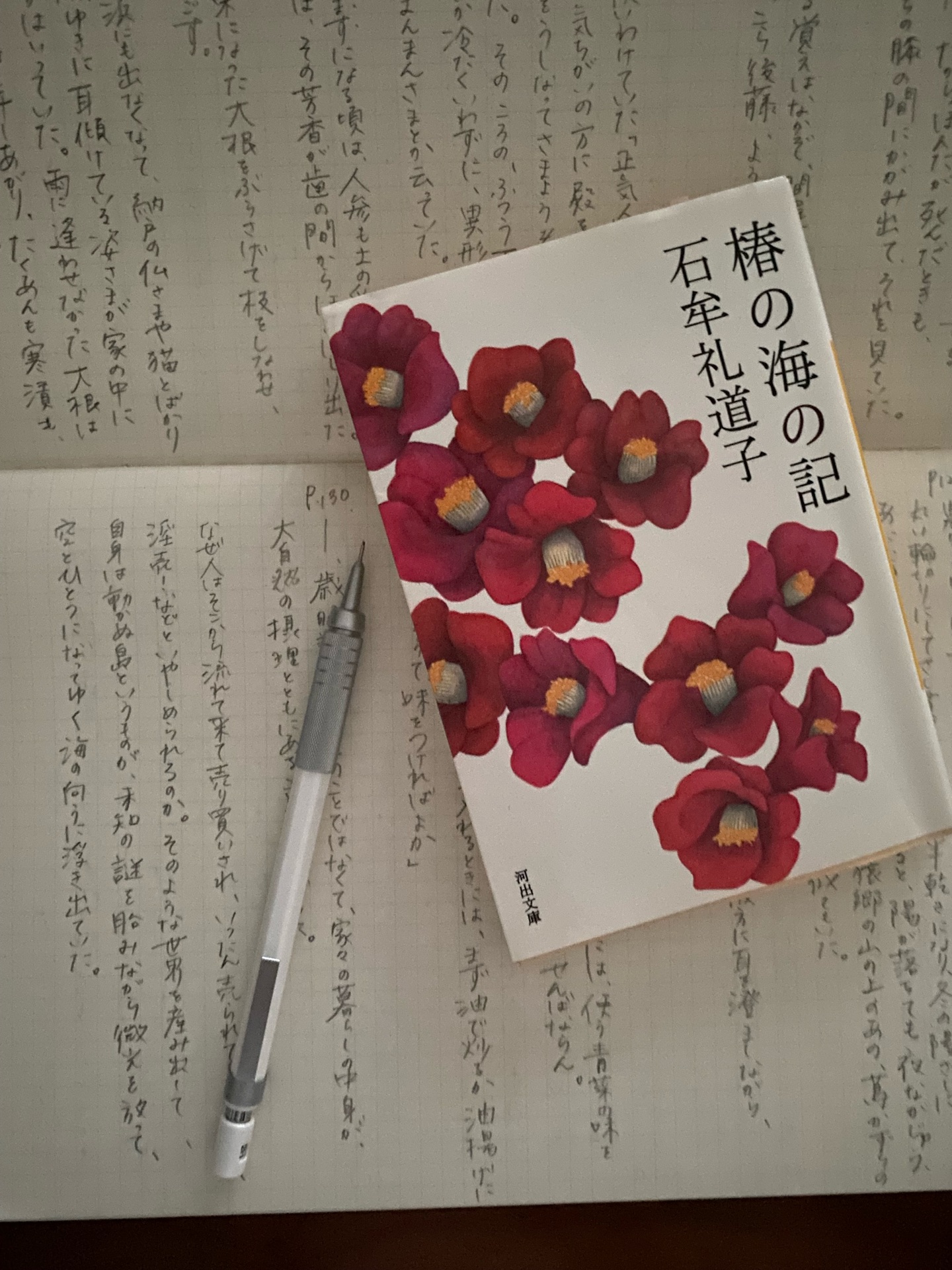 椿の海の記