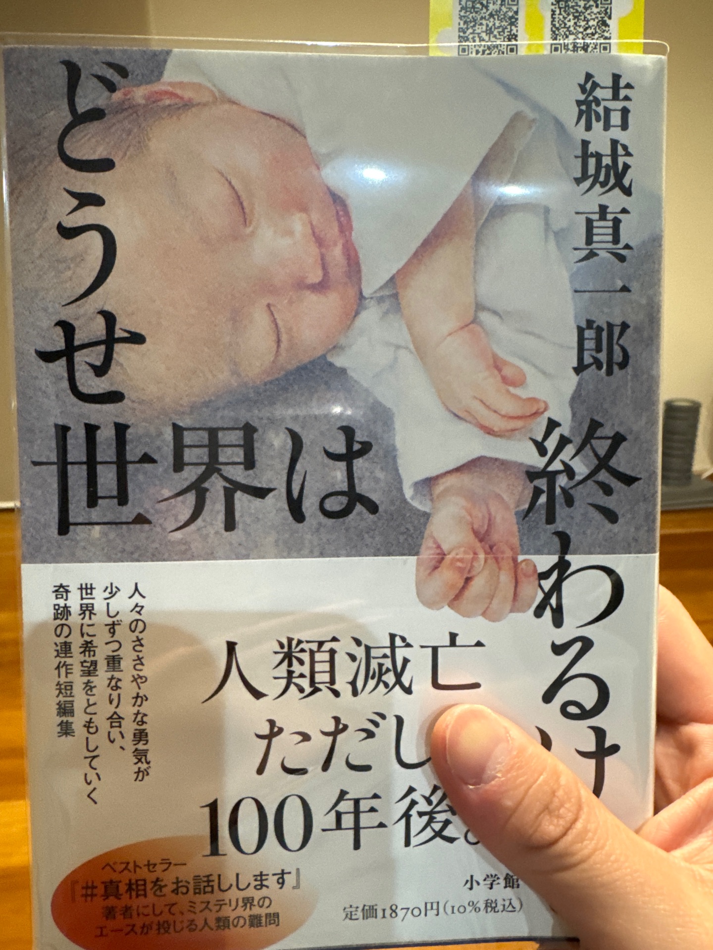 どうせ世界は終わるけど