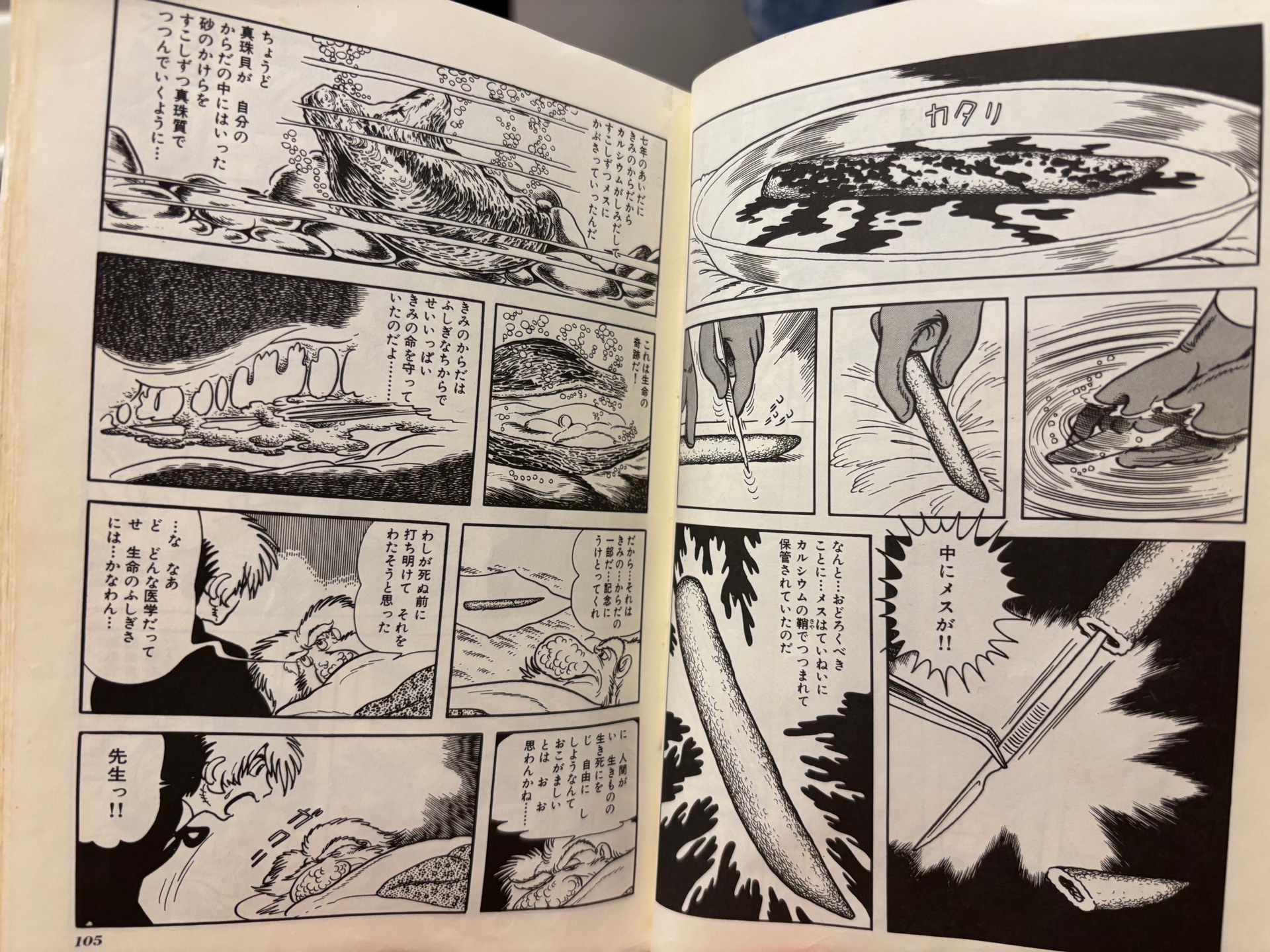 ブラック・ジャック(1)