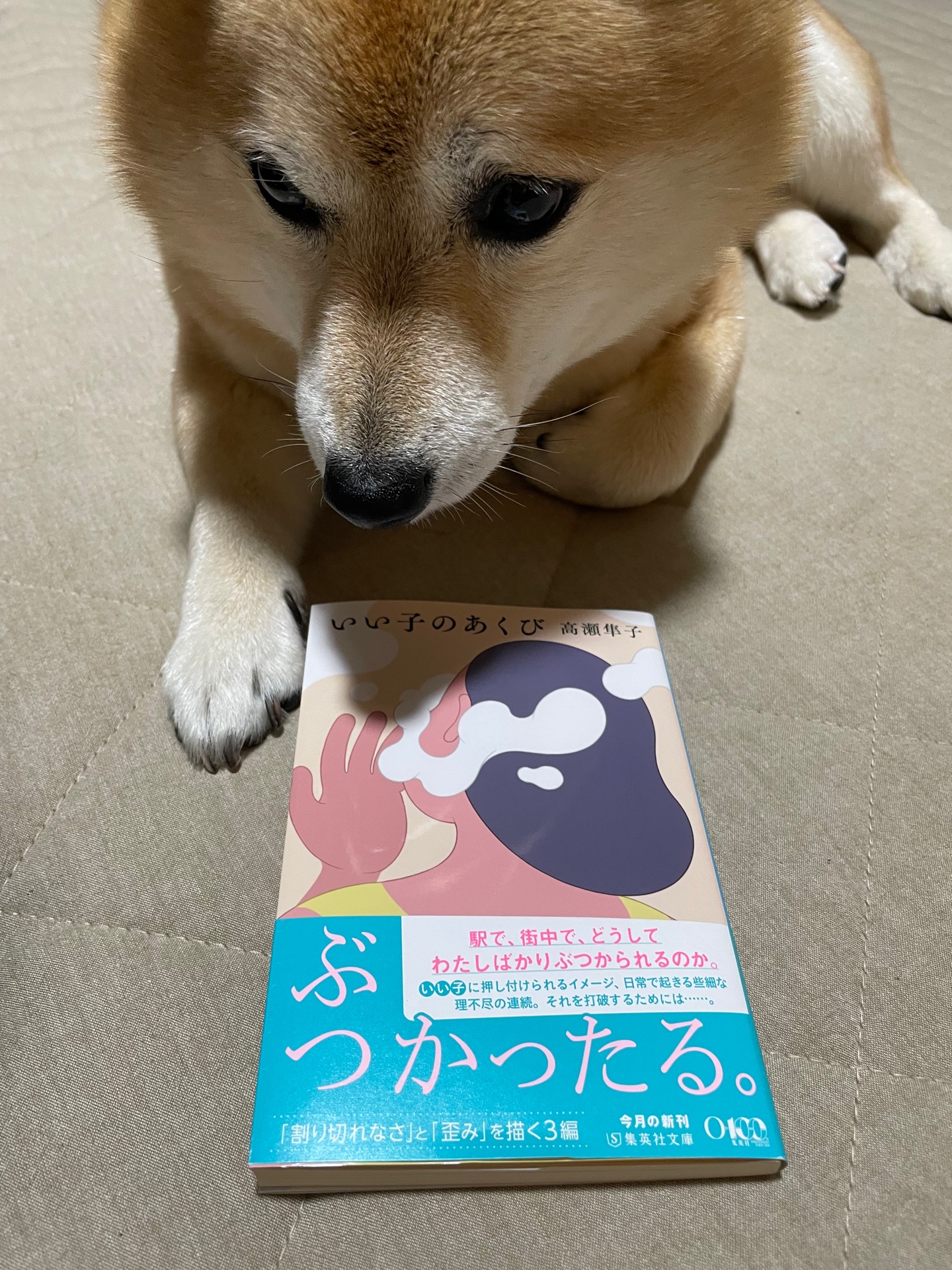いい子のあくび