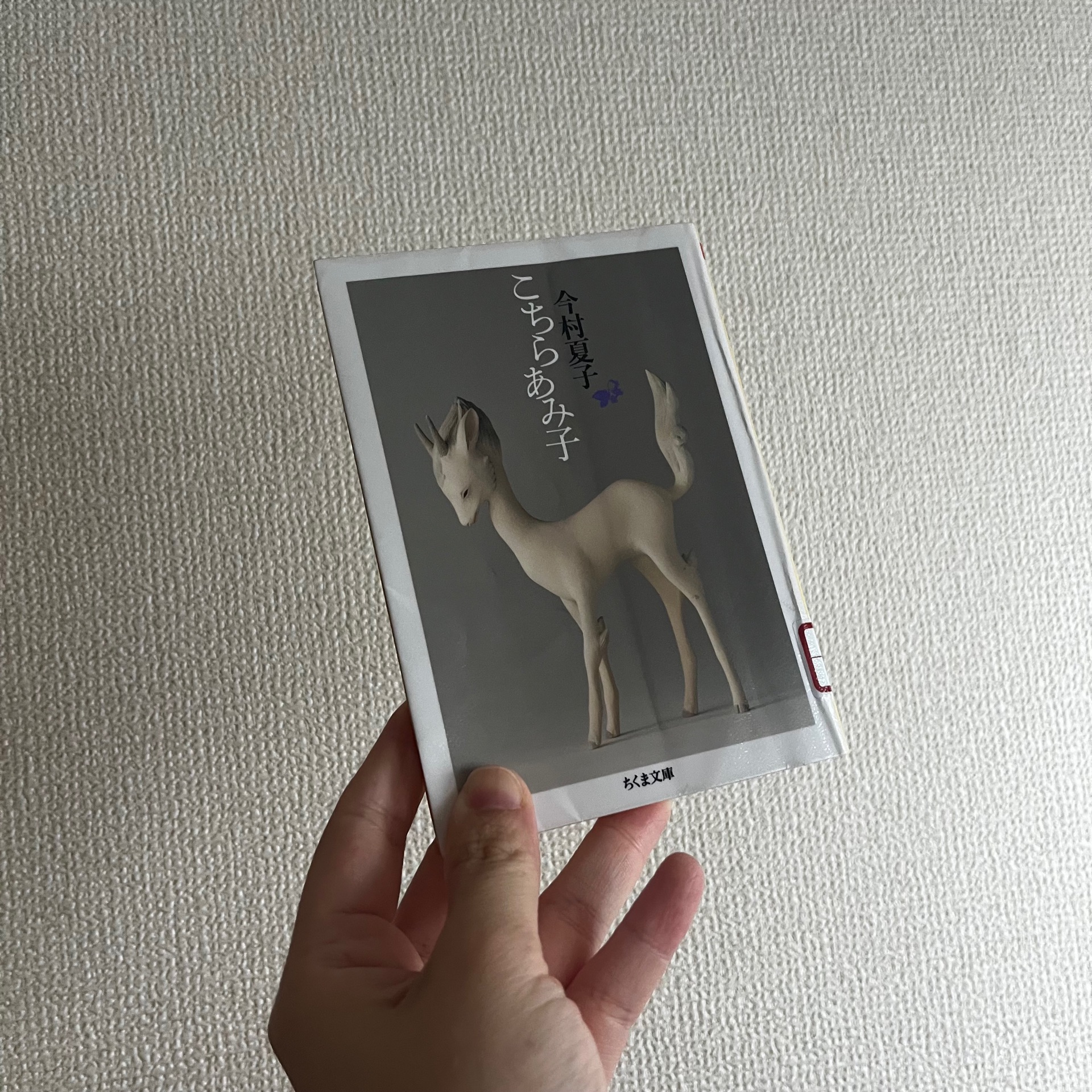 こちらあみ子