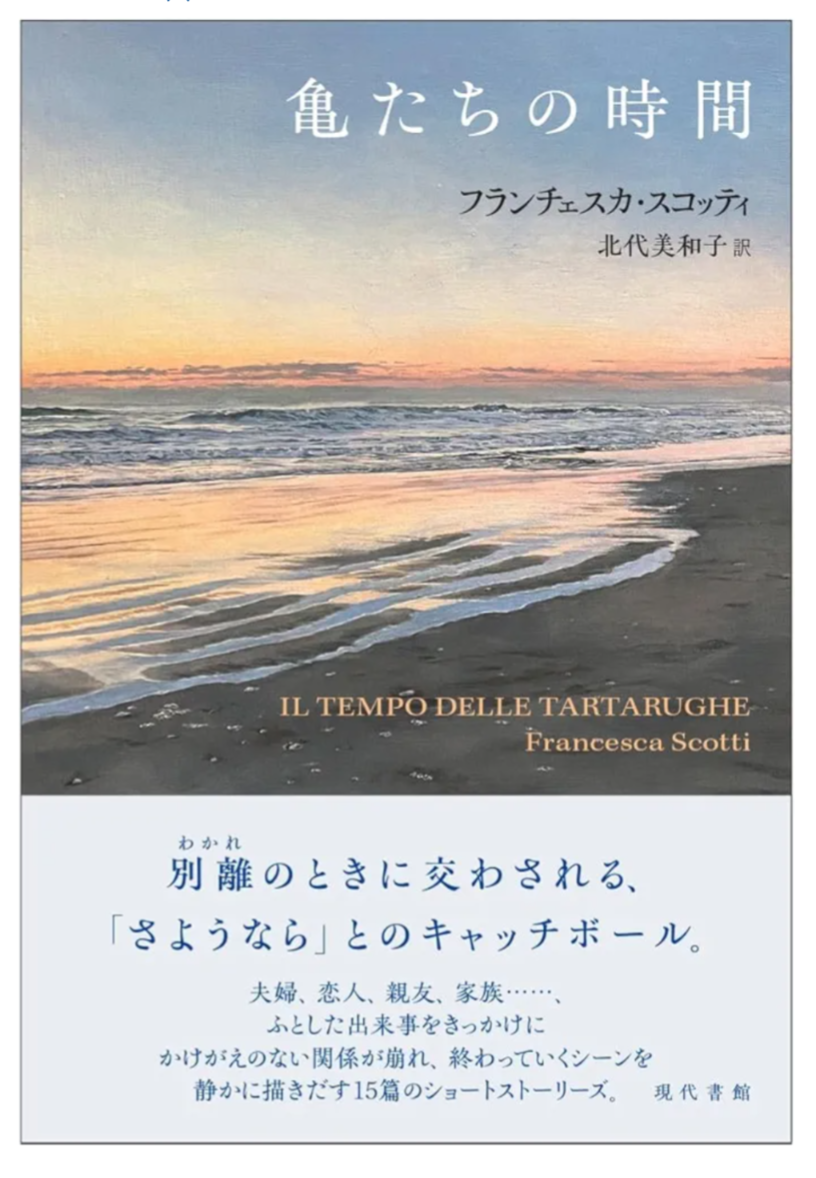 亀たちの時間