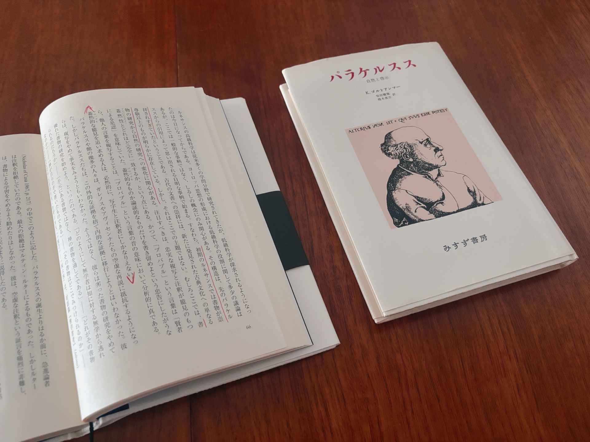 確率の出現