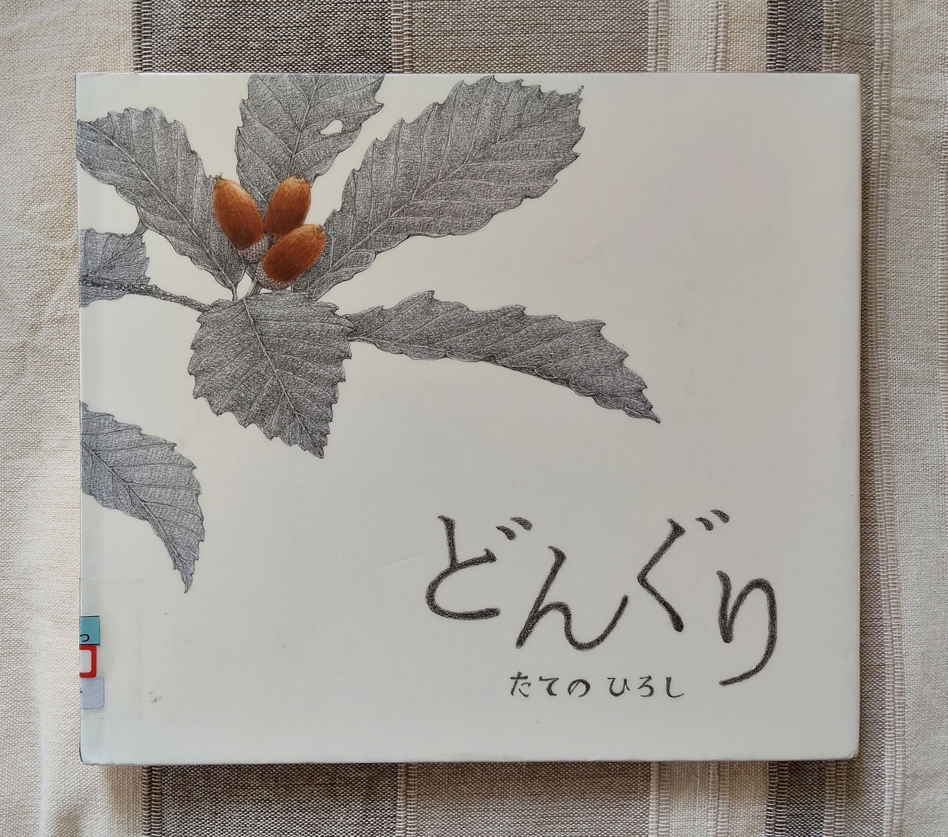 どんぐり